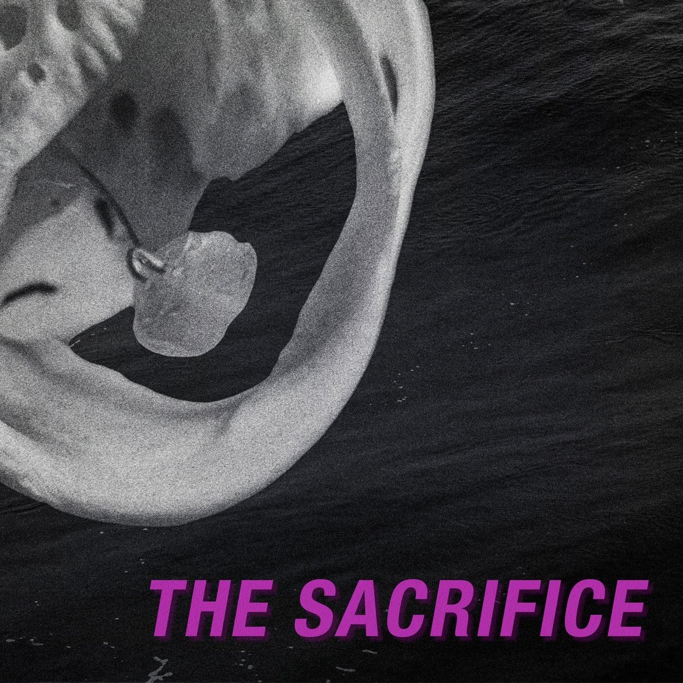 The Sacrifice