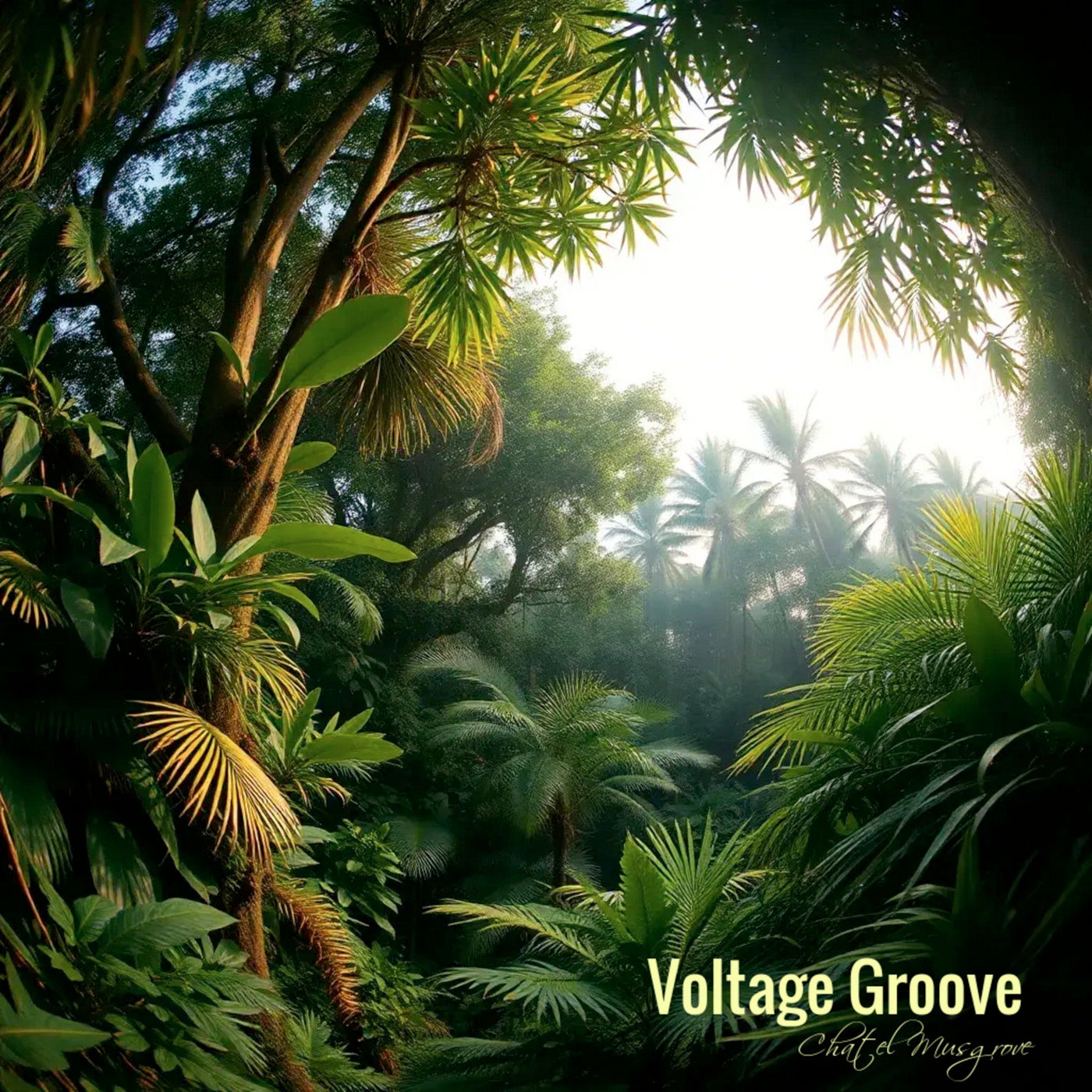Voltage Groove