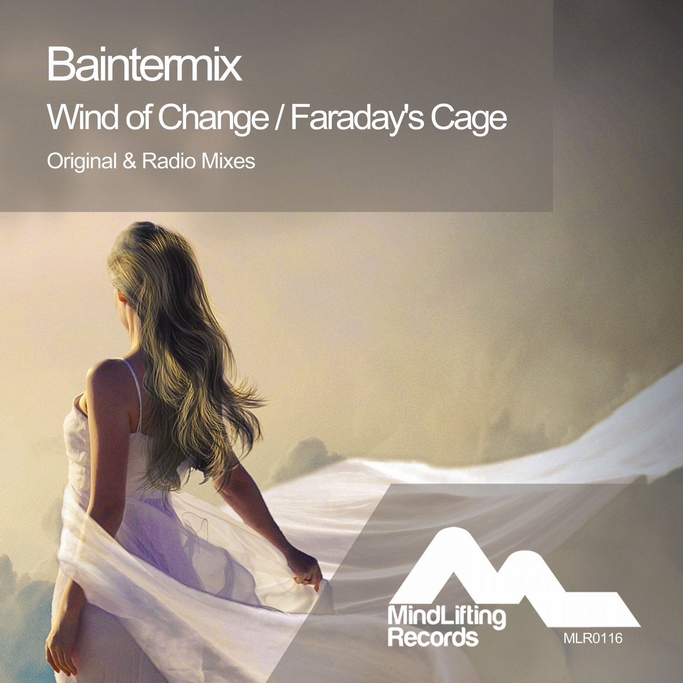 Wind Of Change / Faraday's Cage