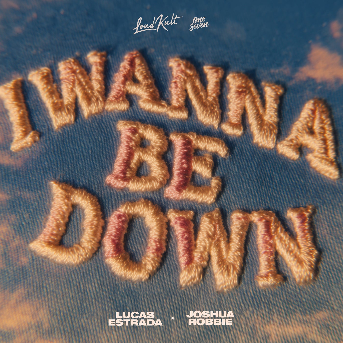 Cover art for I Wanna Be Down