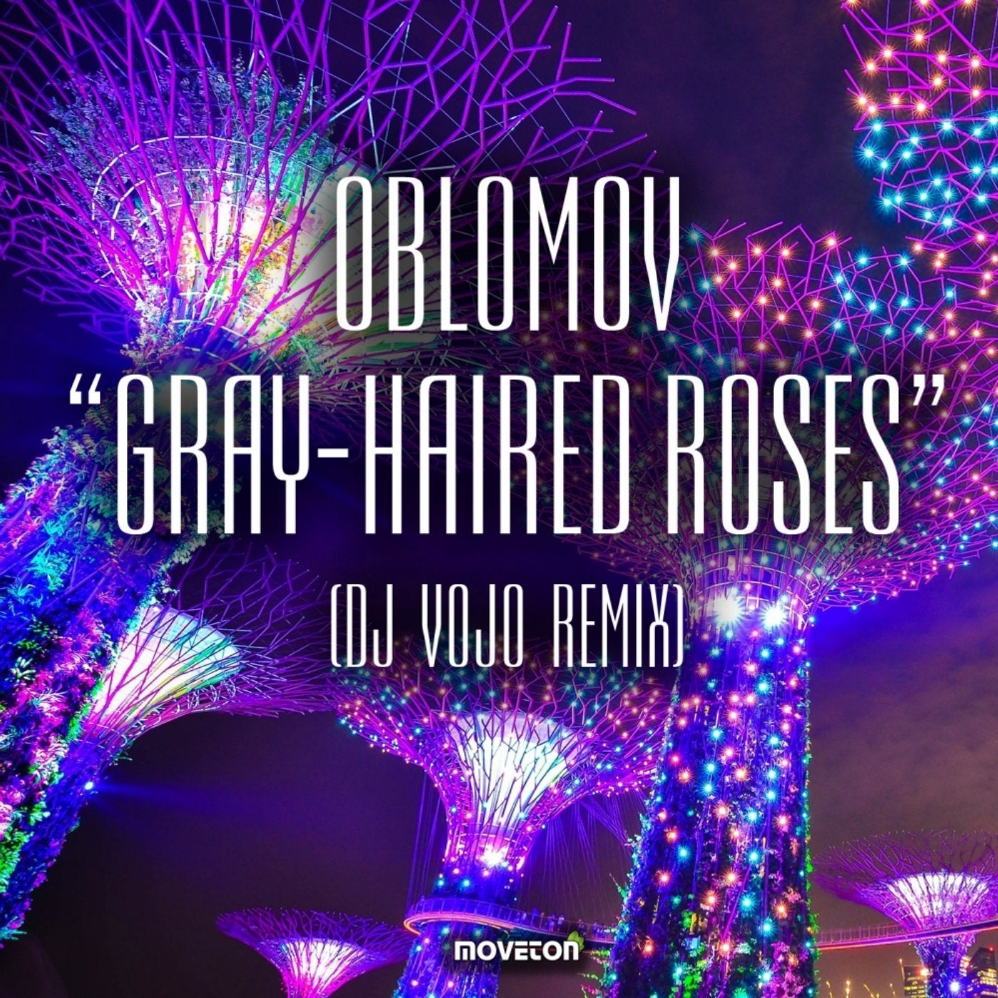 Gray-Haired Roses (DJ VoJo Remix)