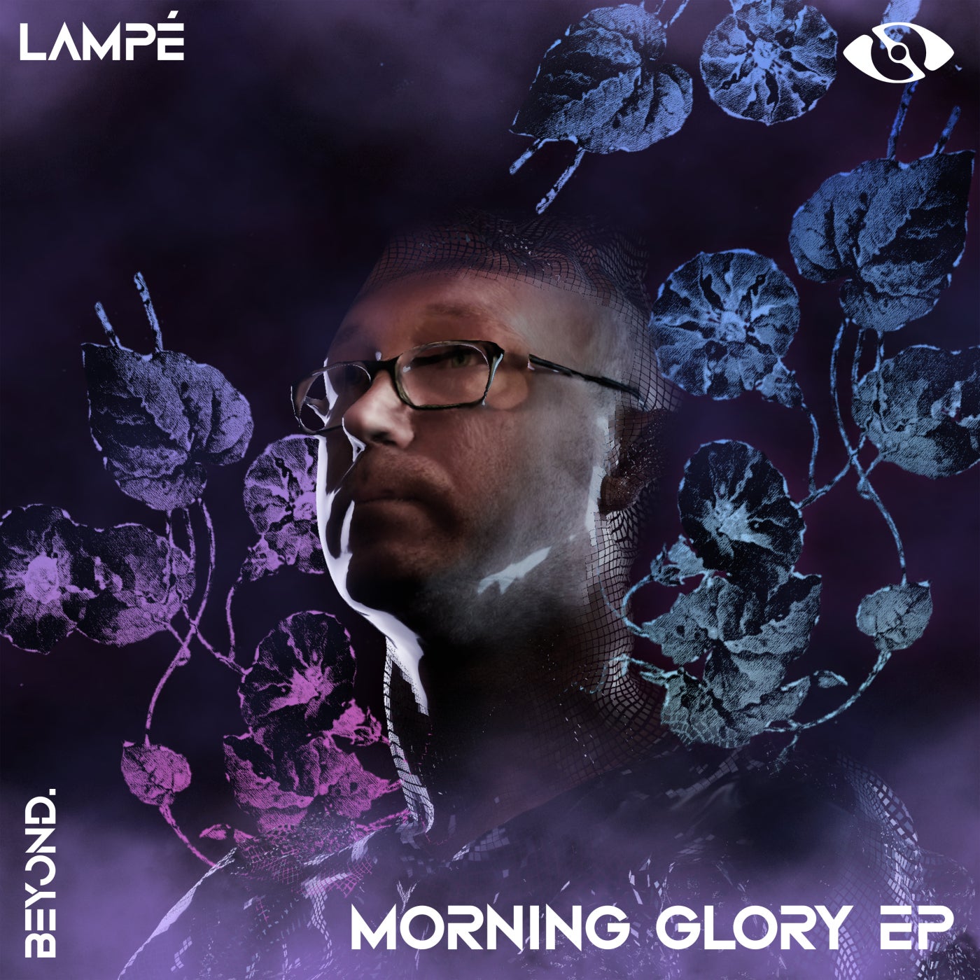 Morning Glory