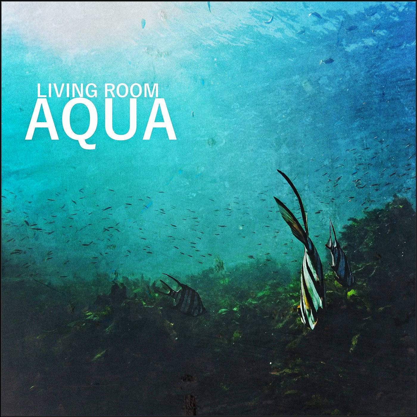 Aqua