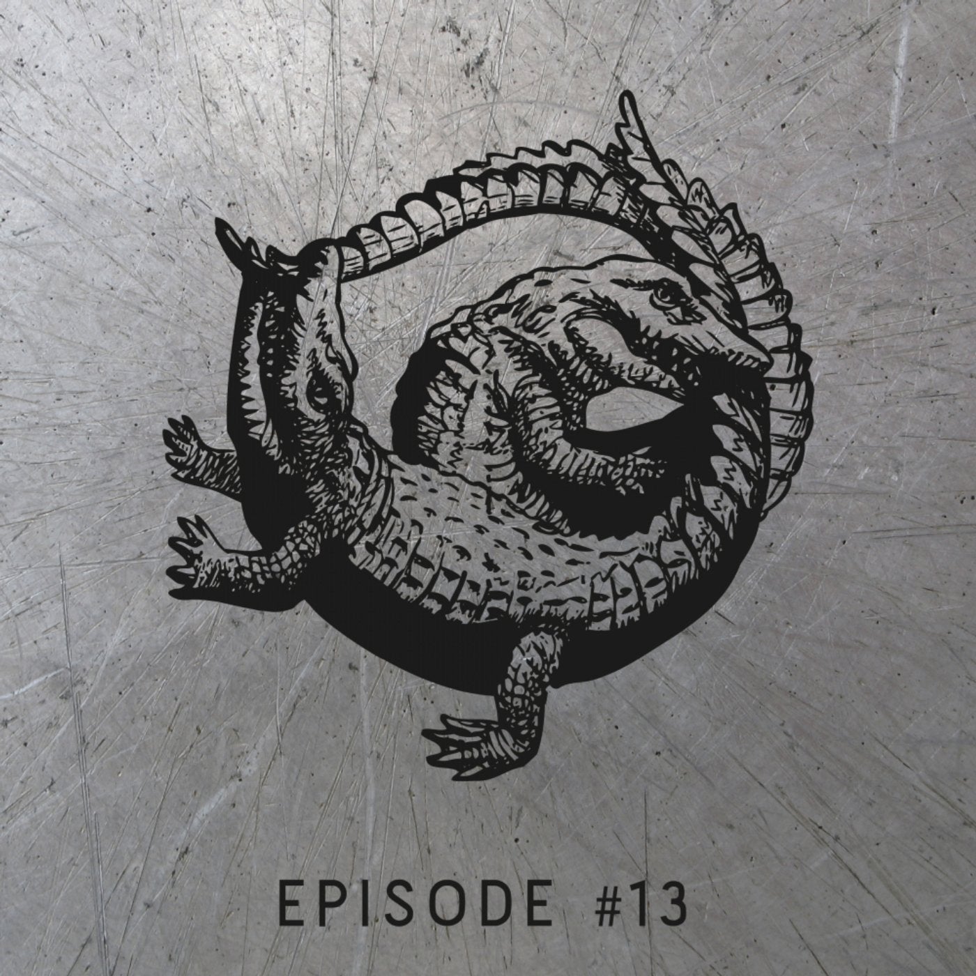 Episode #13