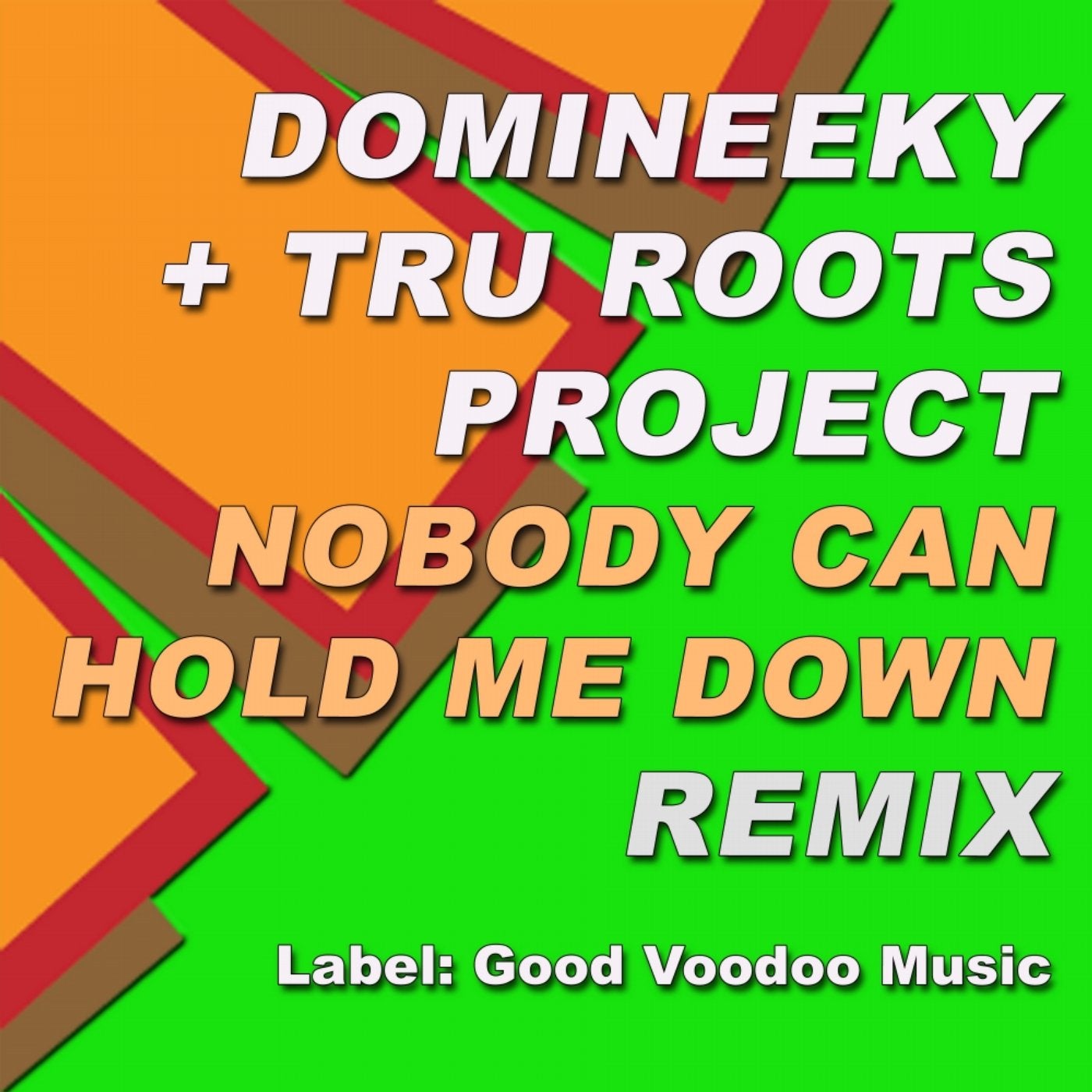 Nobody Can Hold Me Down (Remix)