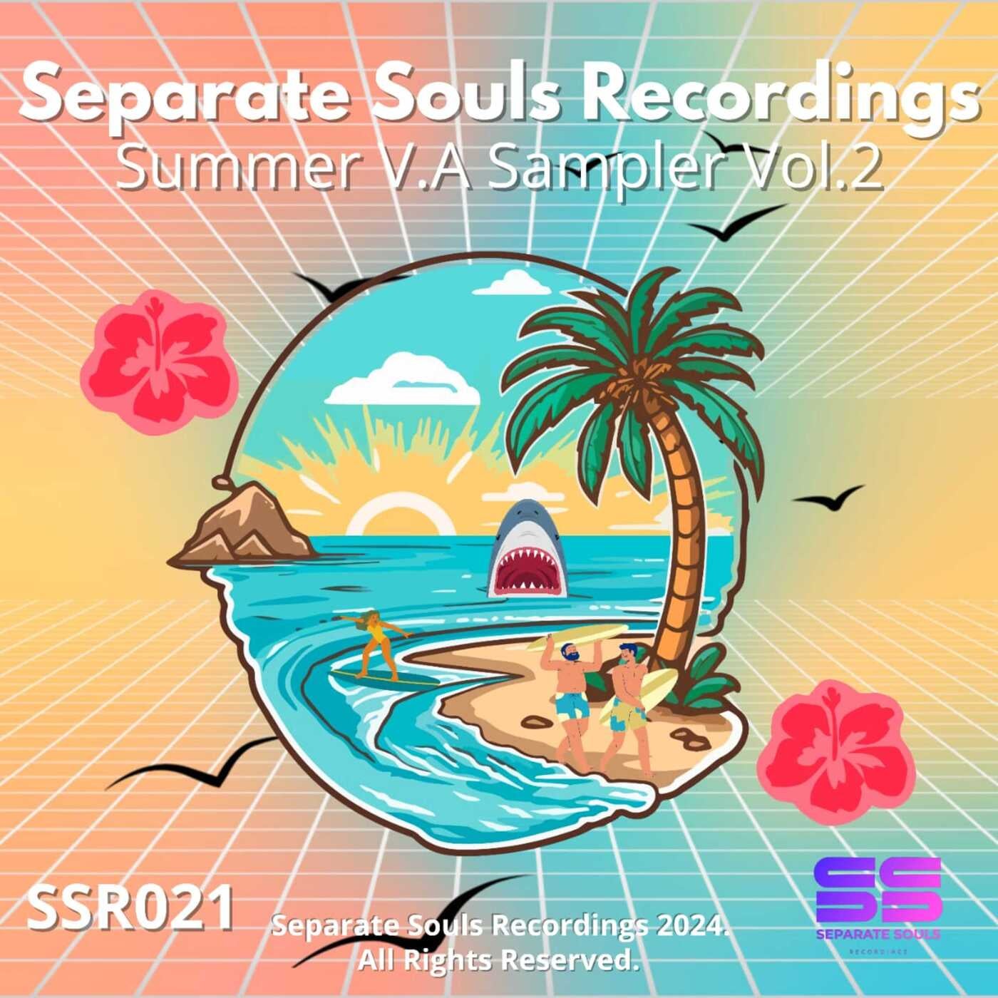 Separate Souls Recordings - Summer VA Sampler Vol 2