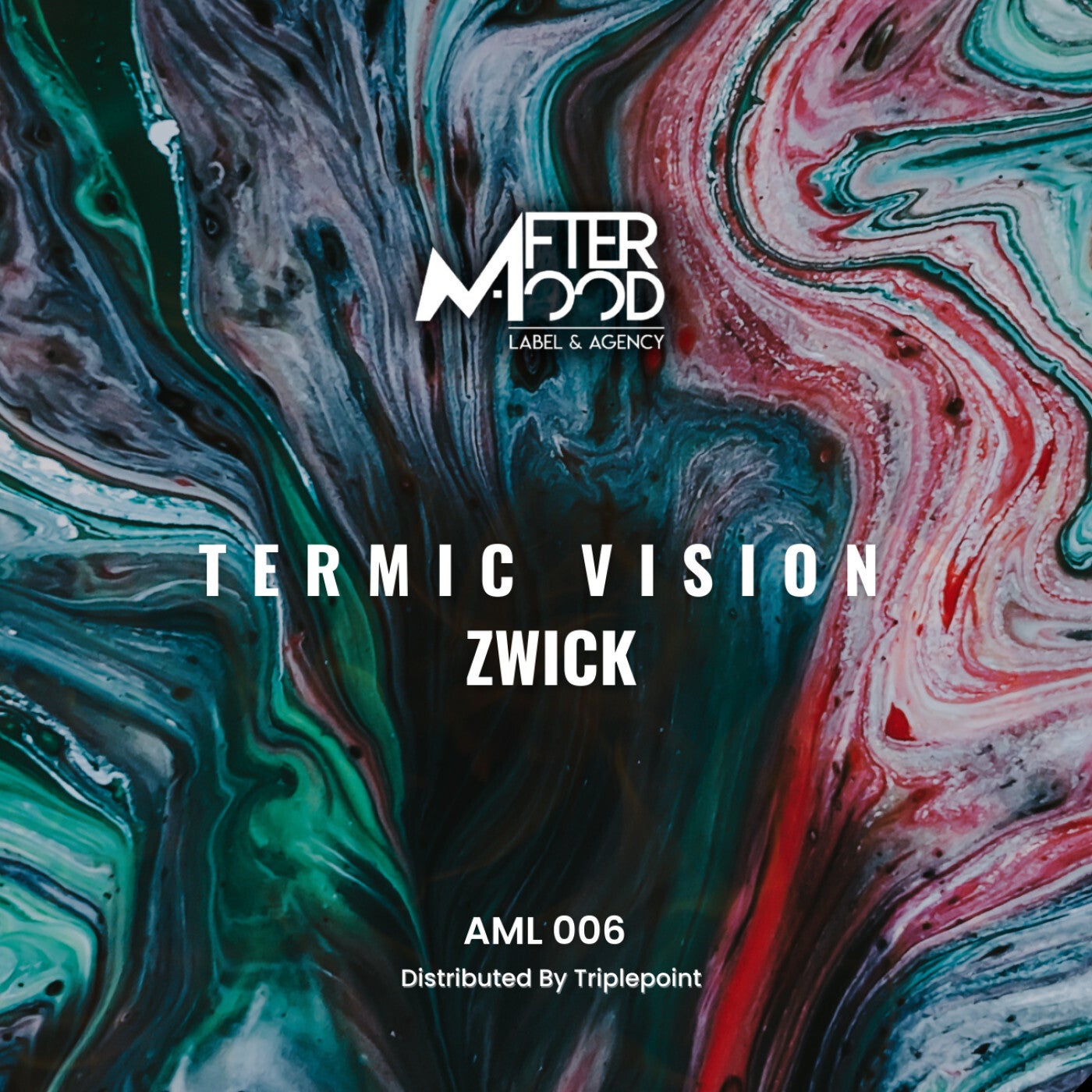 Termic Vision