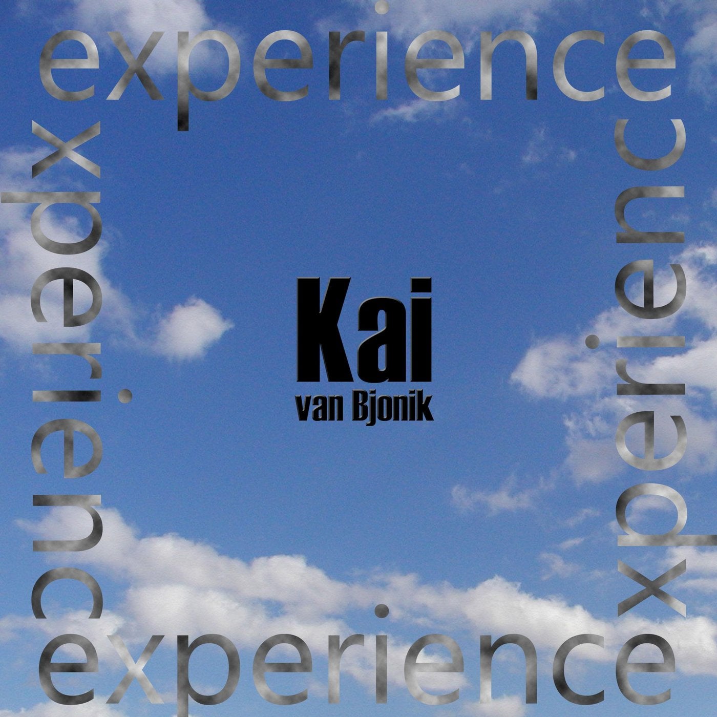 Experience