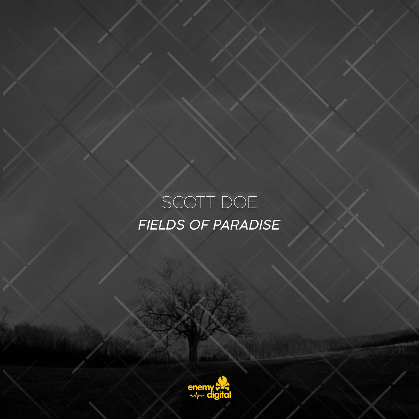 Fields Of Paradise