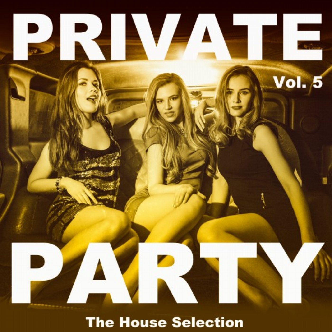 Private Party, Vol. 5 (The House Selection)