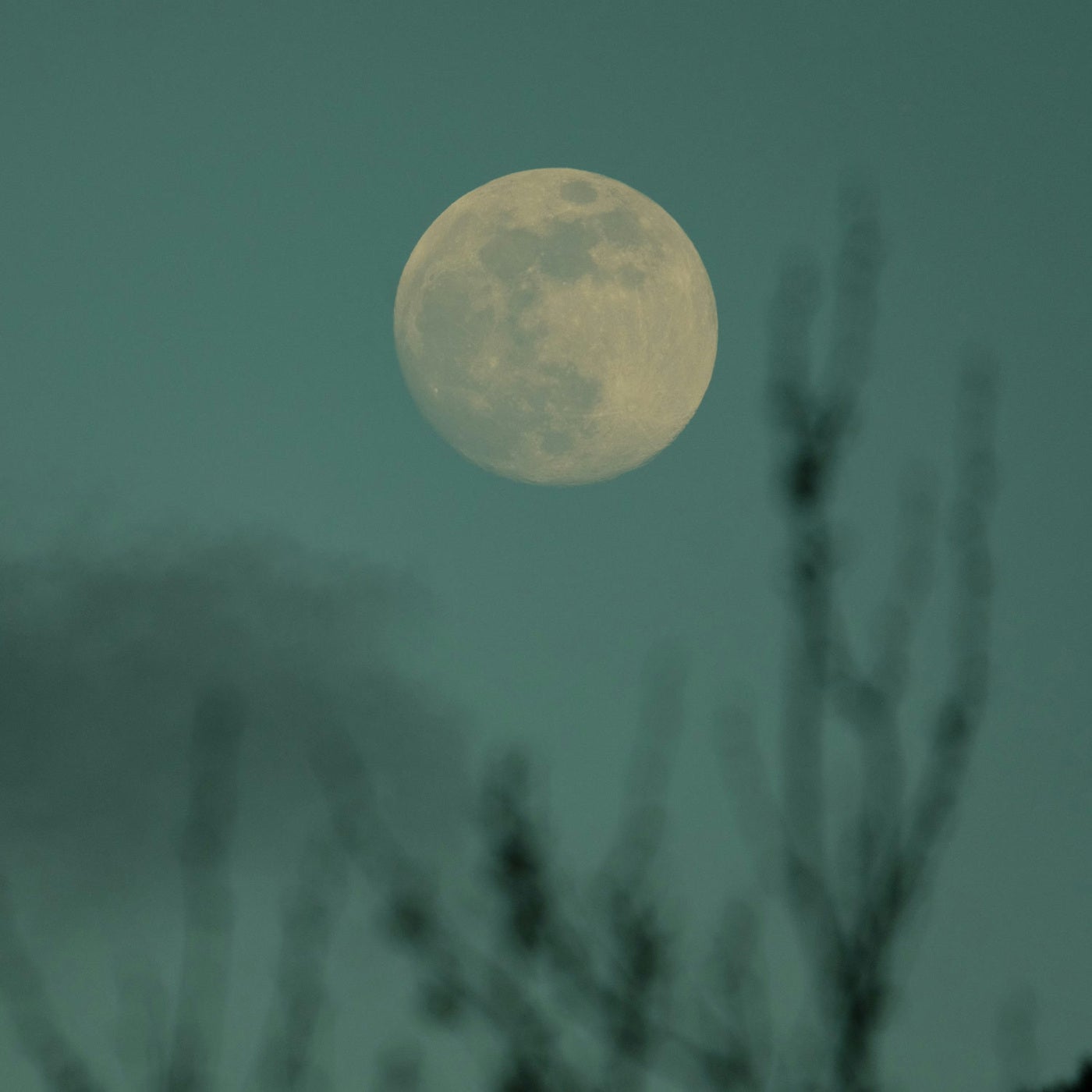 Lunae