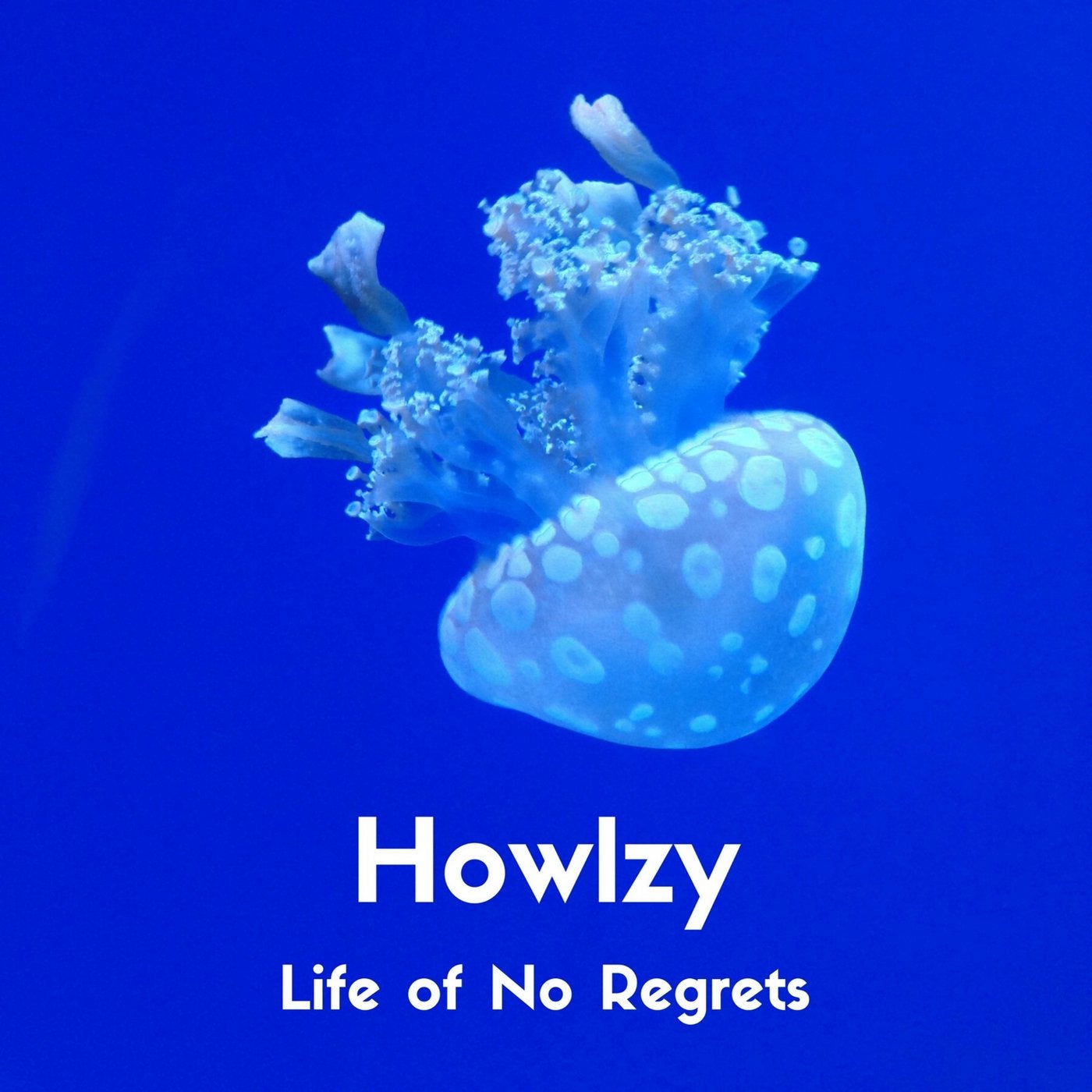 Life Of No Regrets