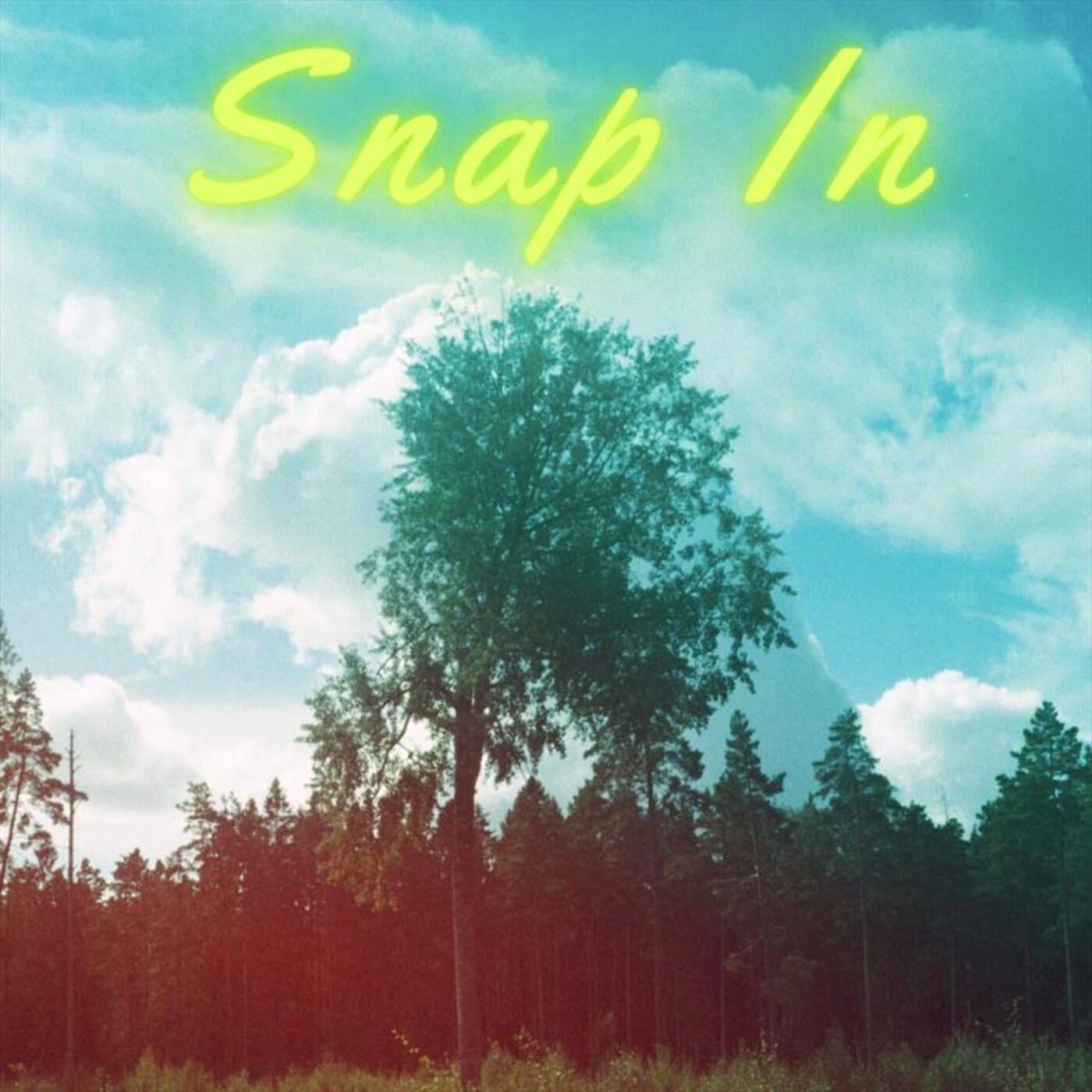 Snap In