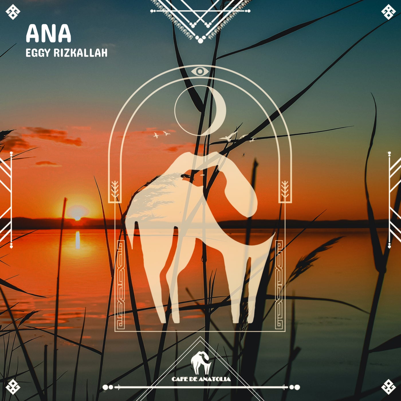 Amazons in Anatolia. Ana 2023