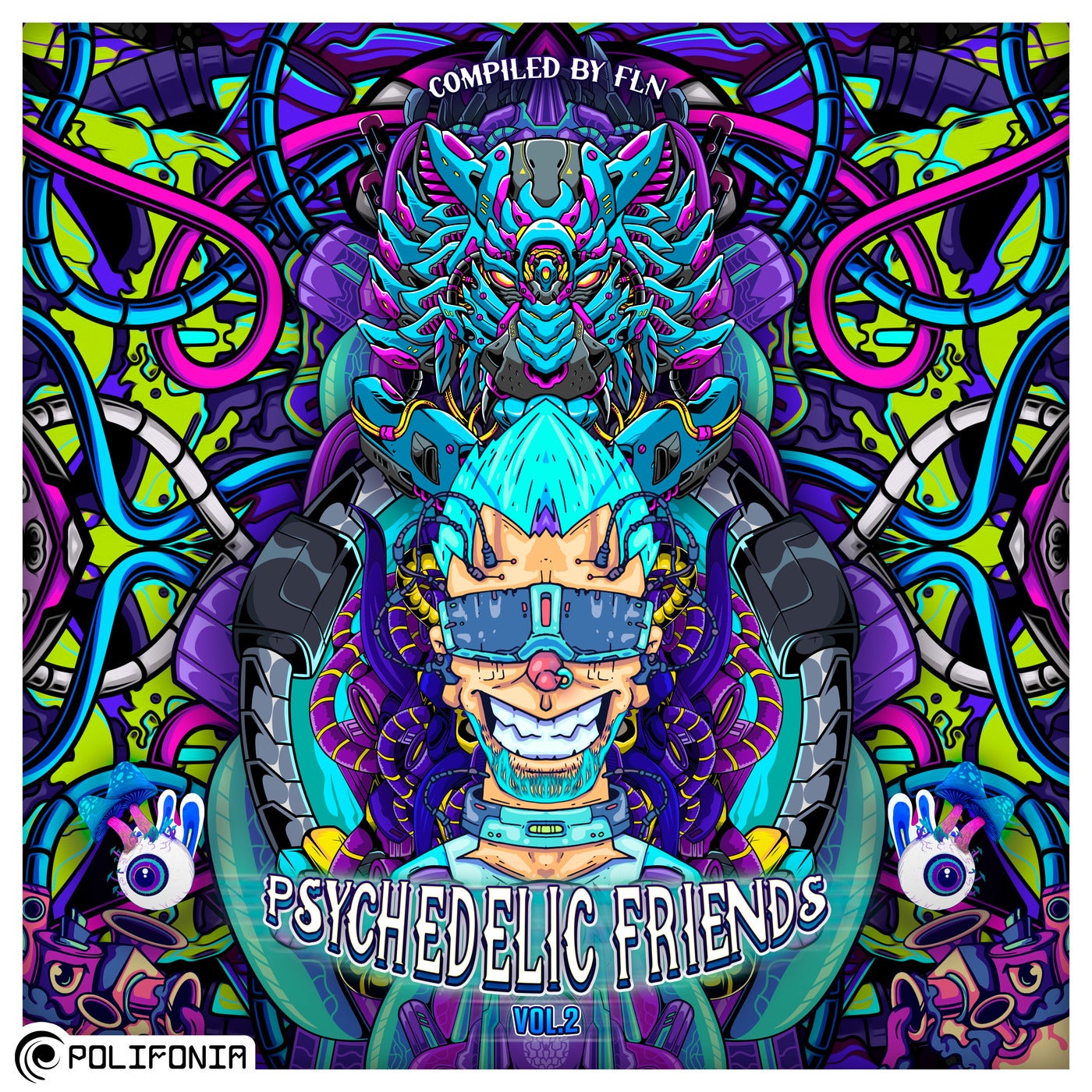 Psychedelic Friends, Vol. 02 (Compiled by Fln)