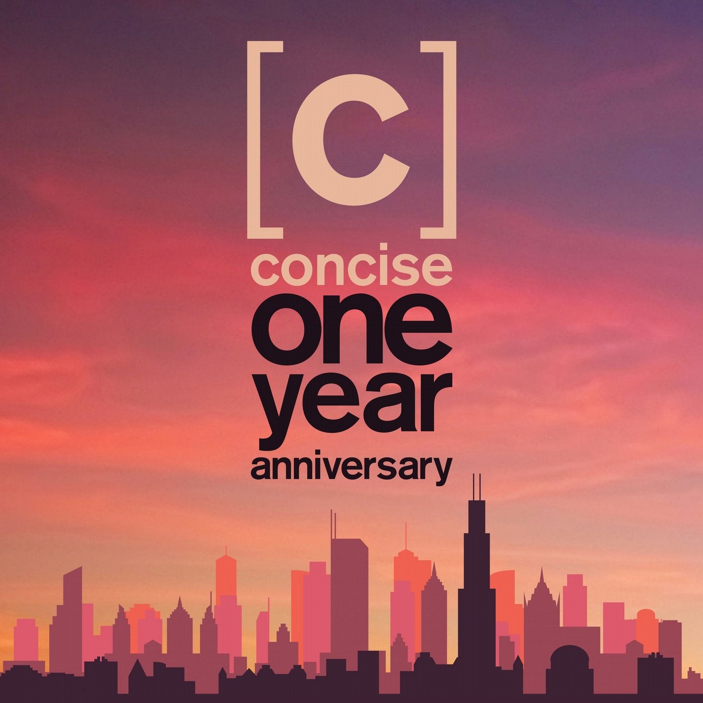 Concise One Year Anniversary