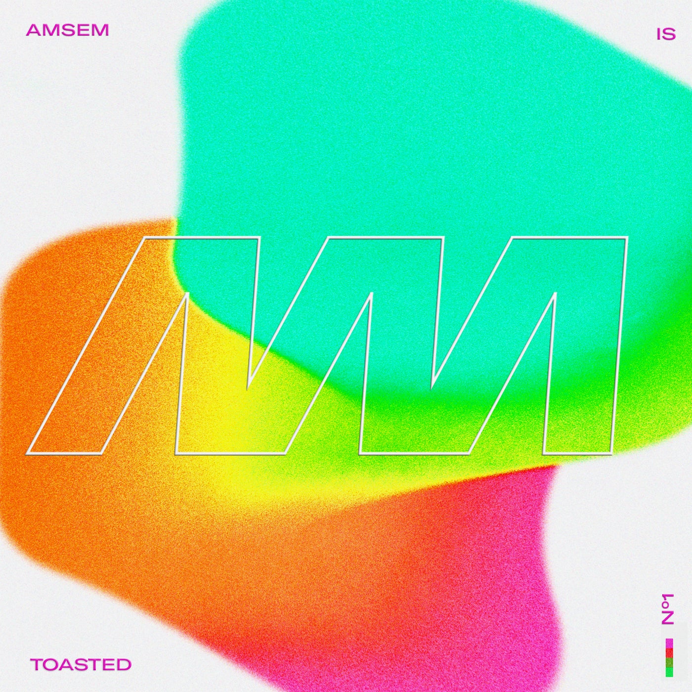 AMSEM IS TOASTED