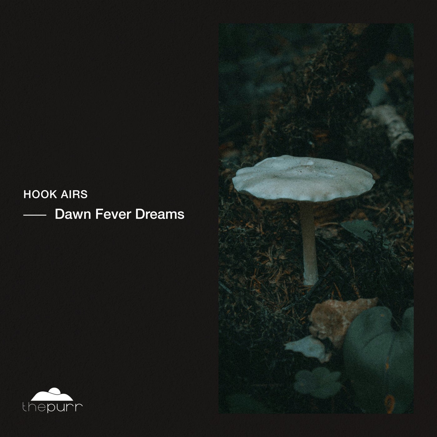 Cover art for Dawn Fever Dreams