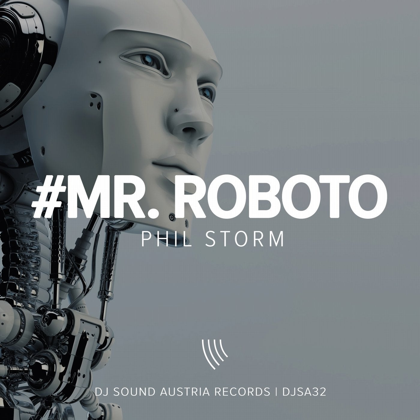 Mr. Roboto