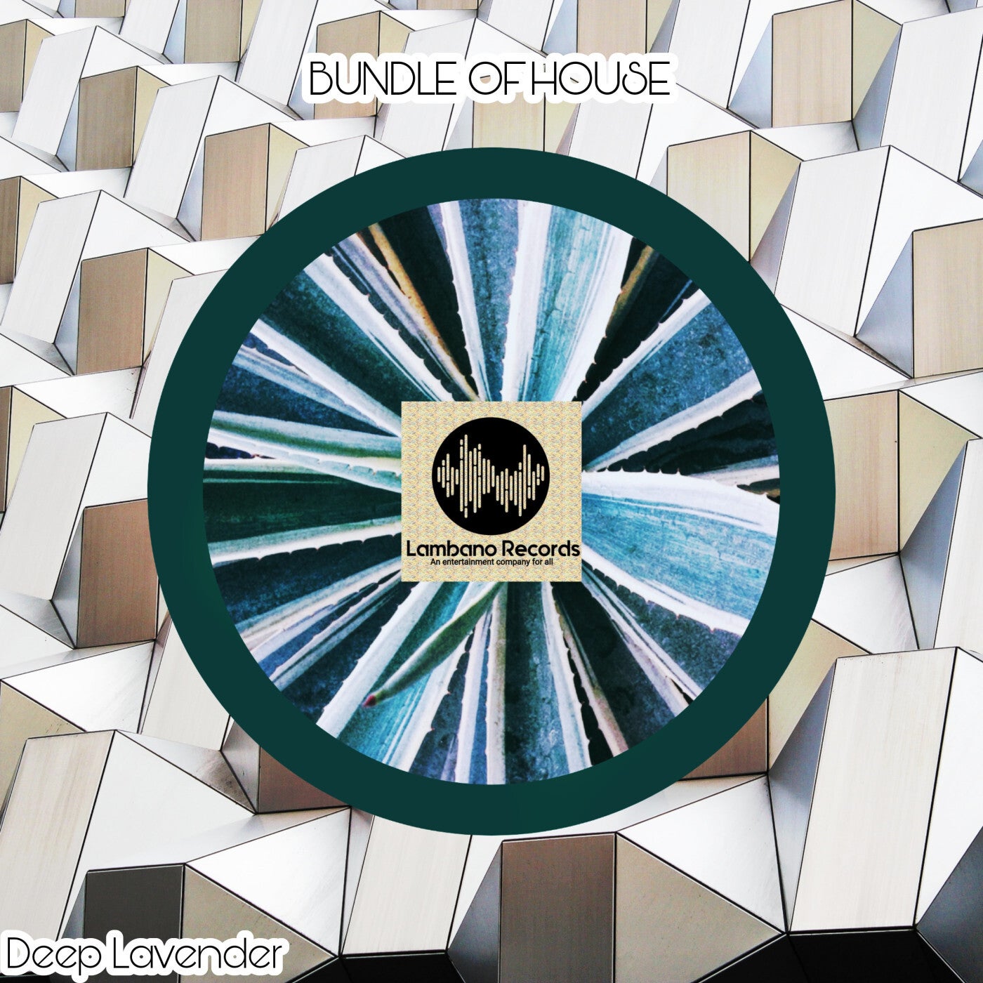 Bundle Of House