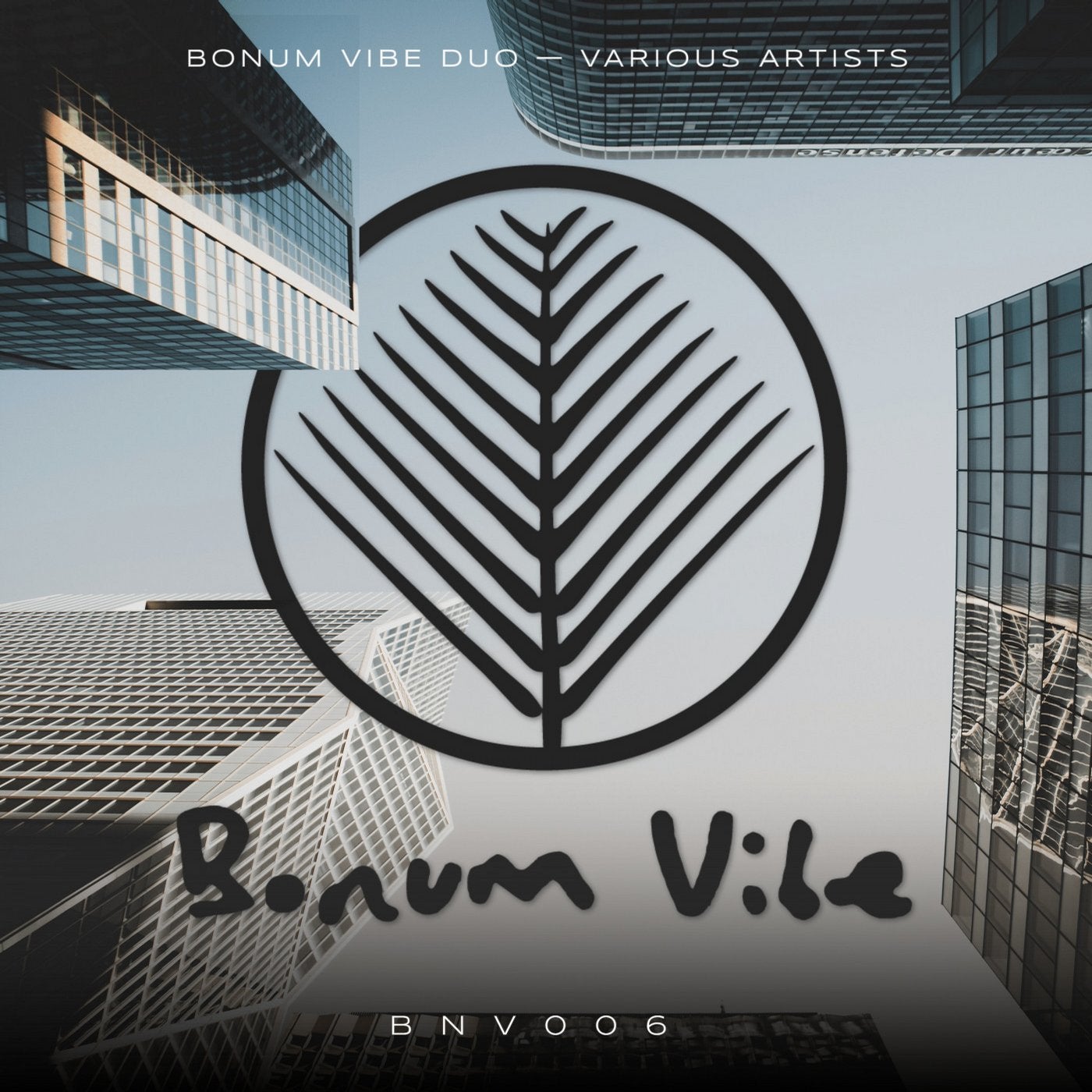 Bonum Vibe Duo