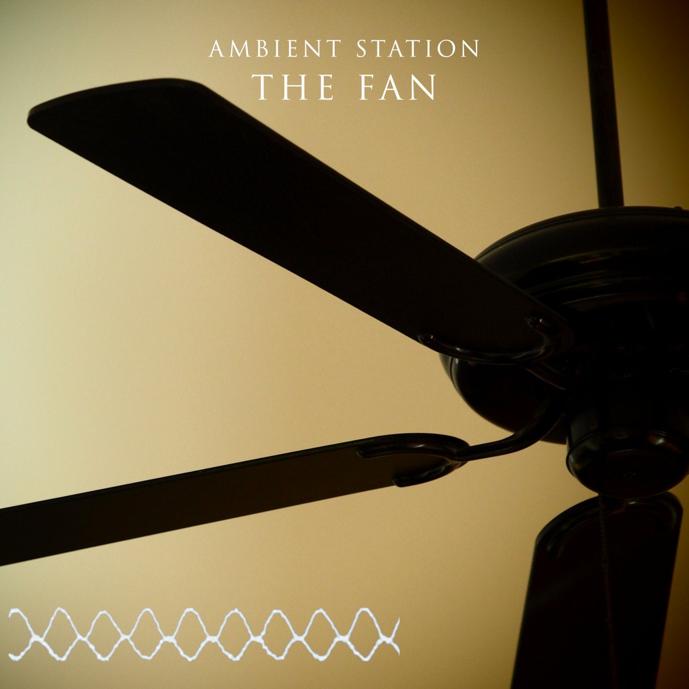 The Fan