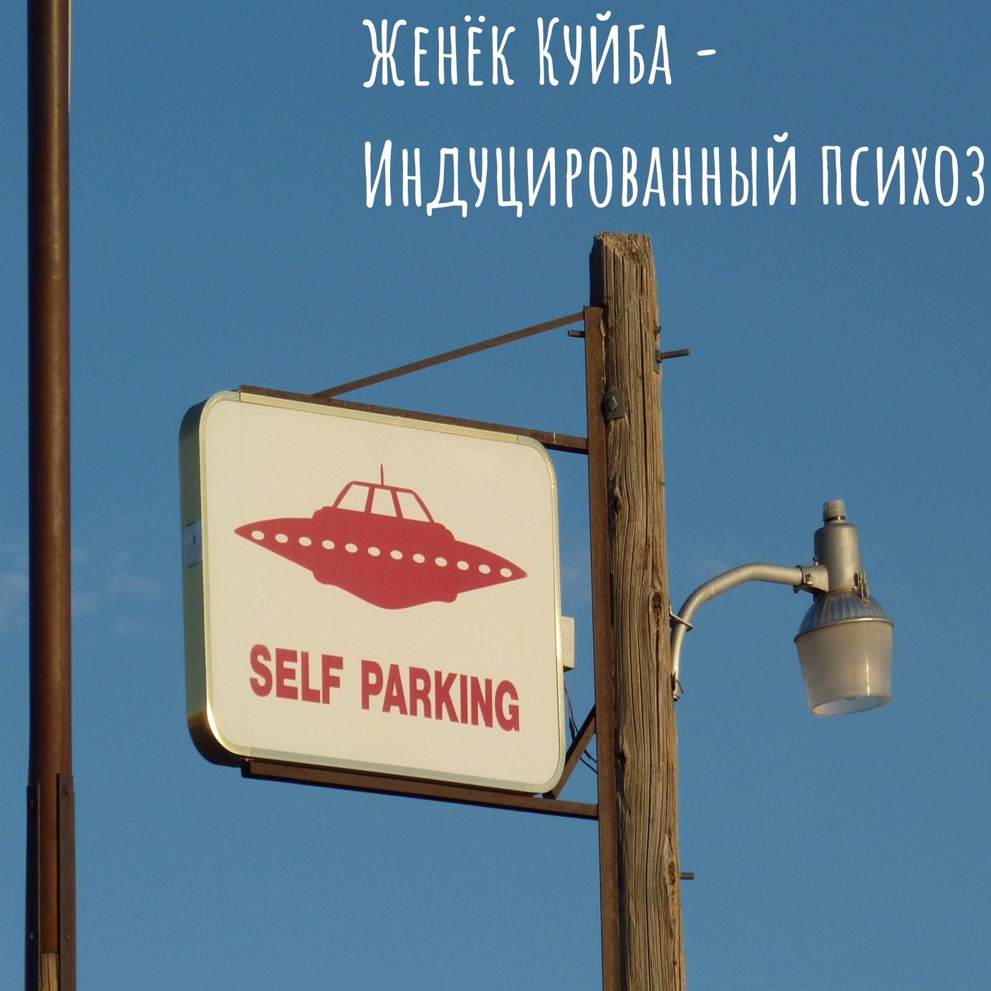 Индуцированный психоз