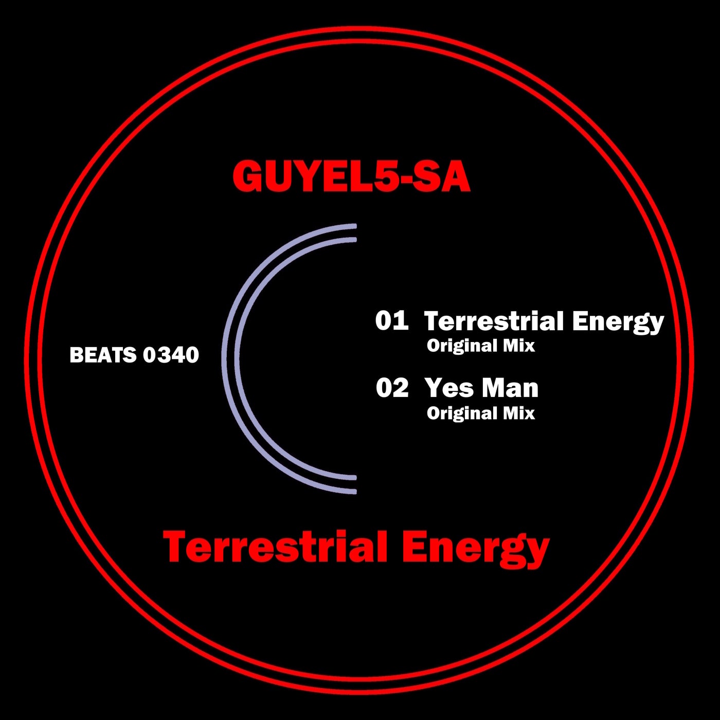 Terrestrial Energy