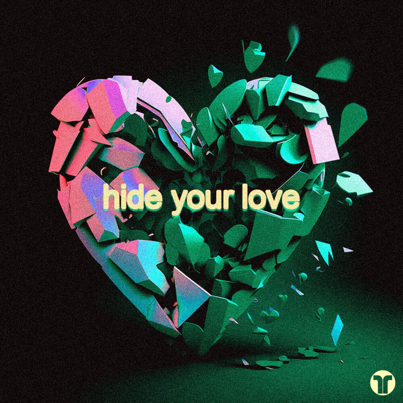 Hide Your Love (Extended Mix)