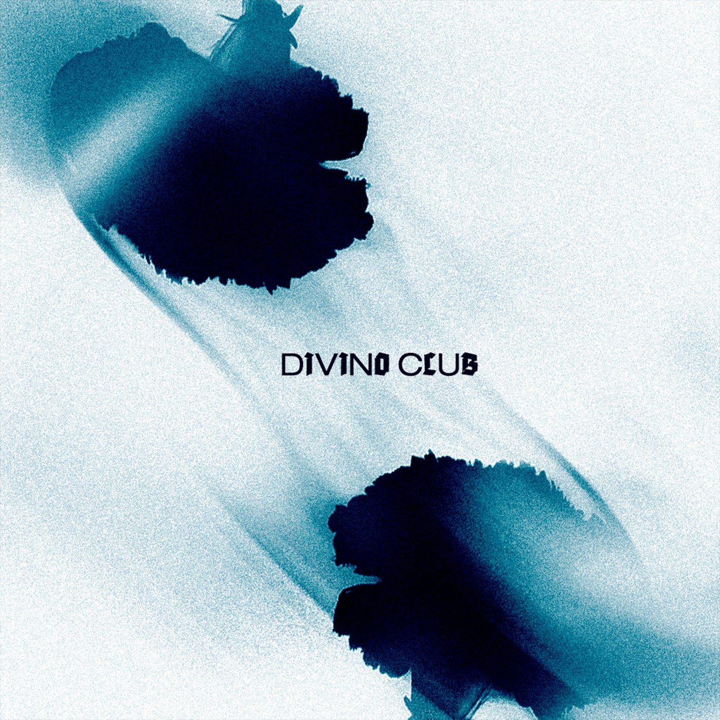 DIVIN0 clvb