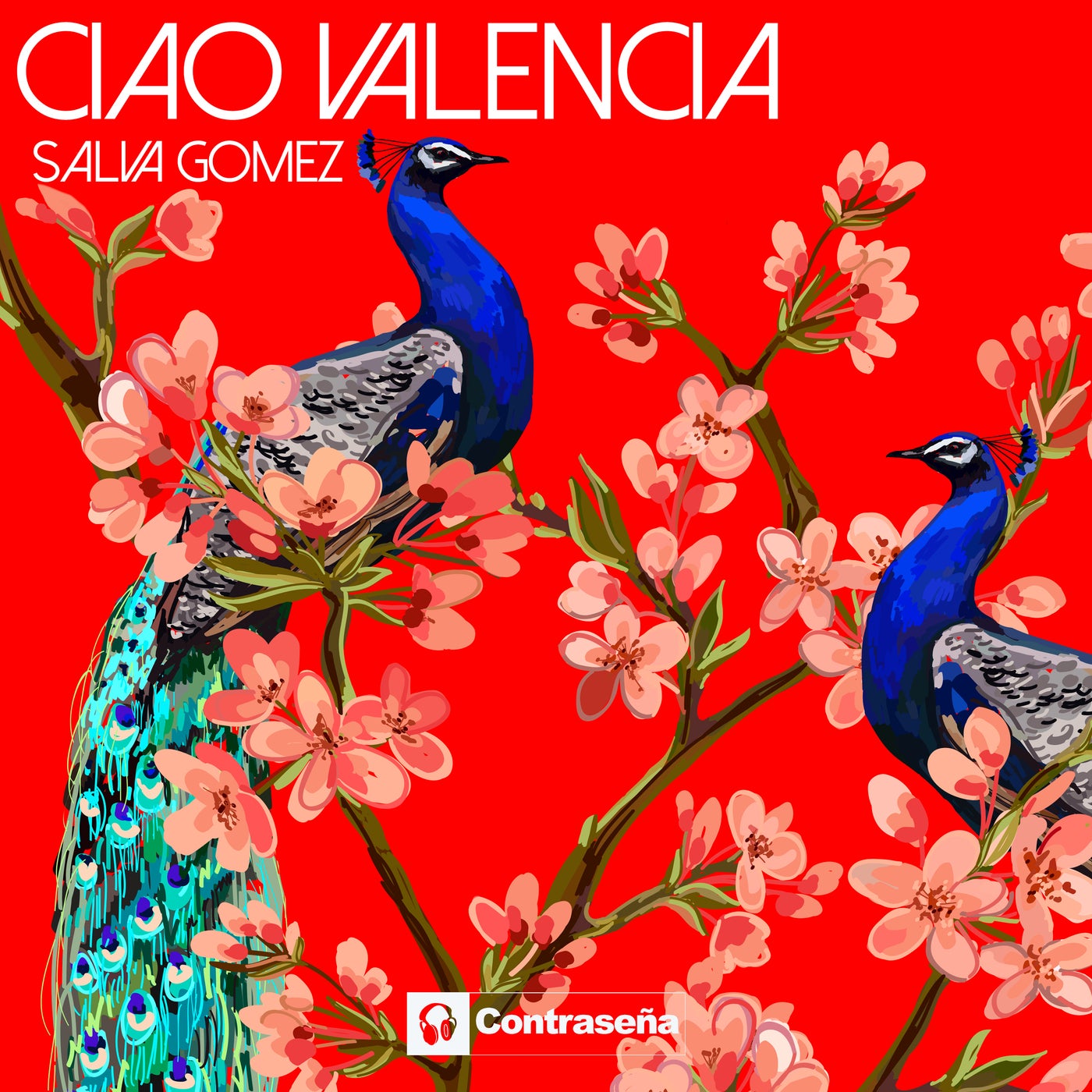Ciao Valencia