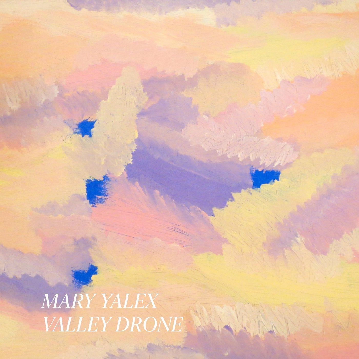 Valley Drone