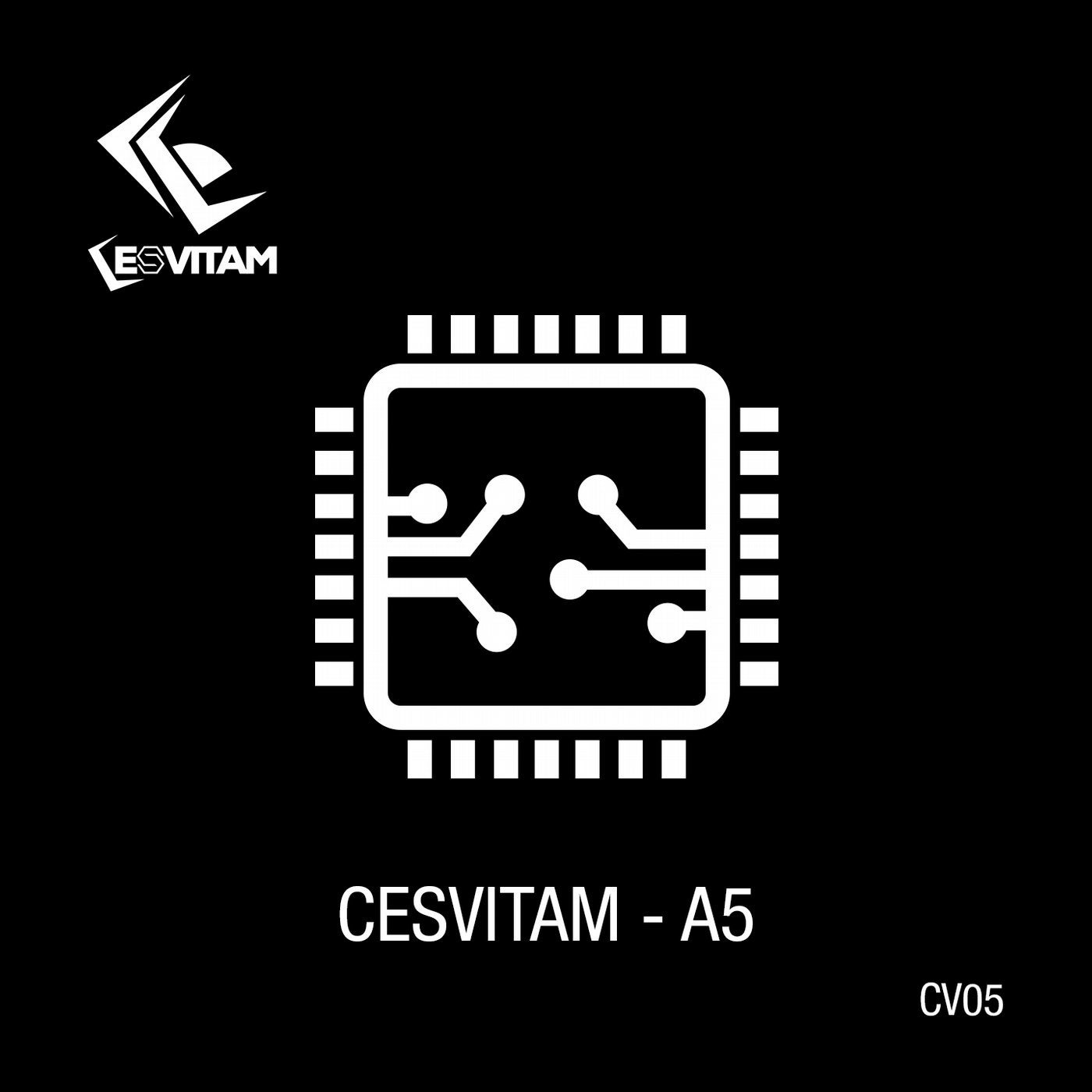 A5