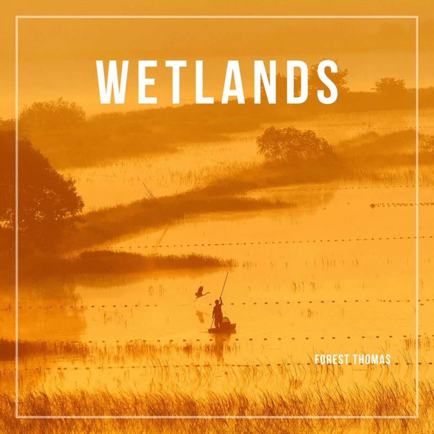 Wetlands