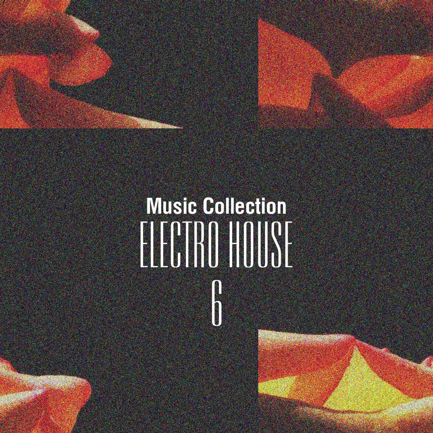 Music Collection. Electro House, Vol. 6