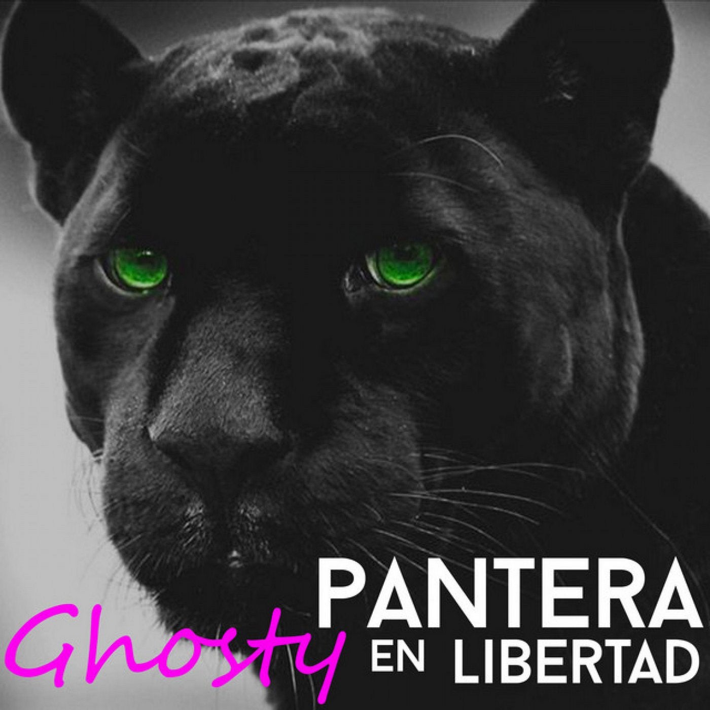 Pantera en Libertad