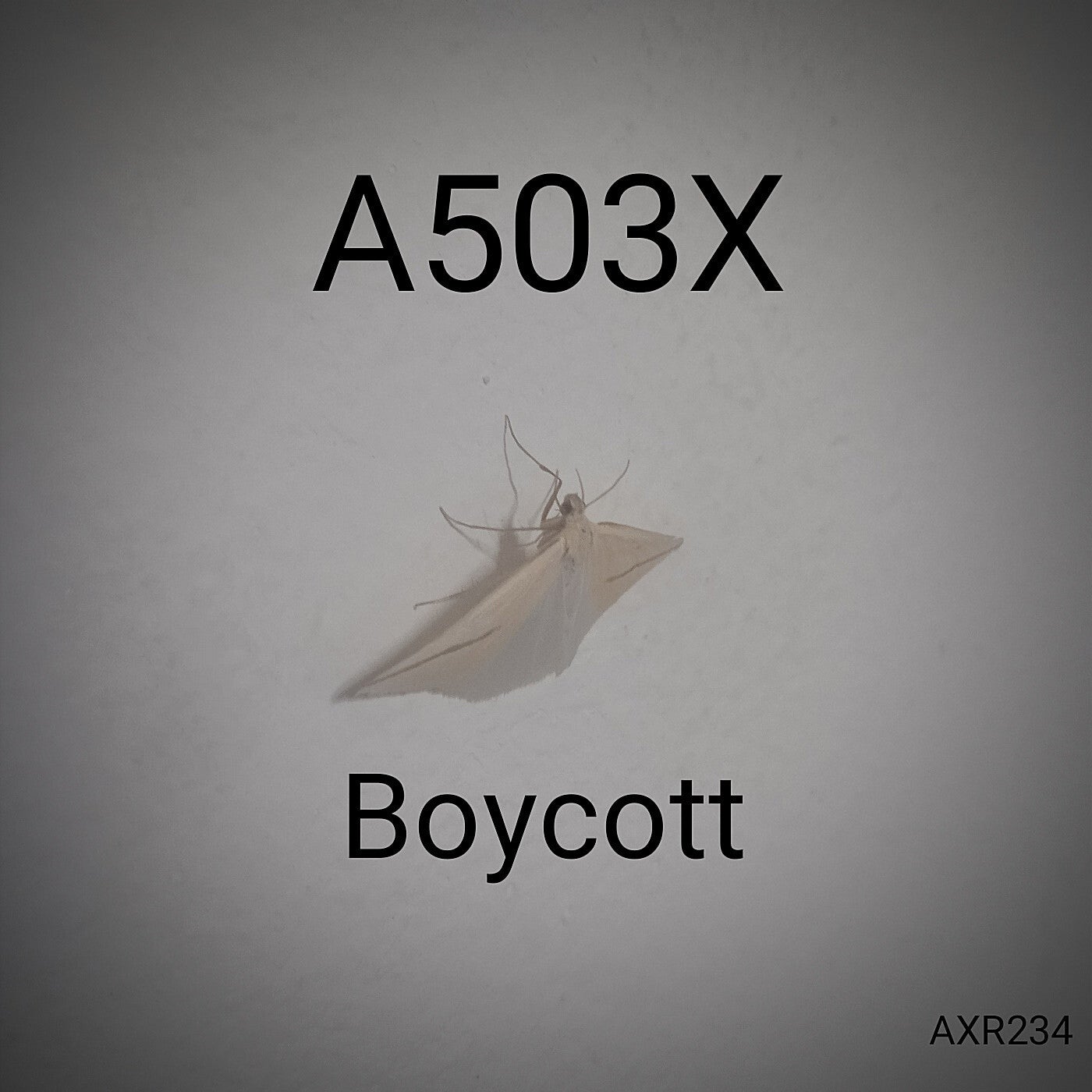 Boycott