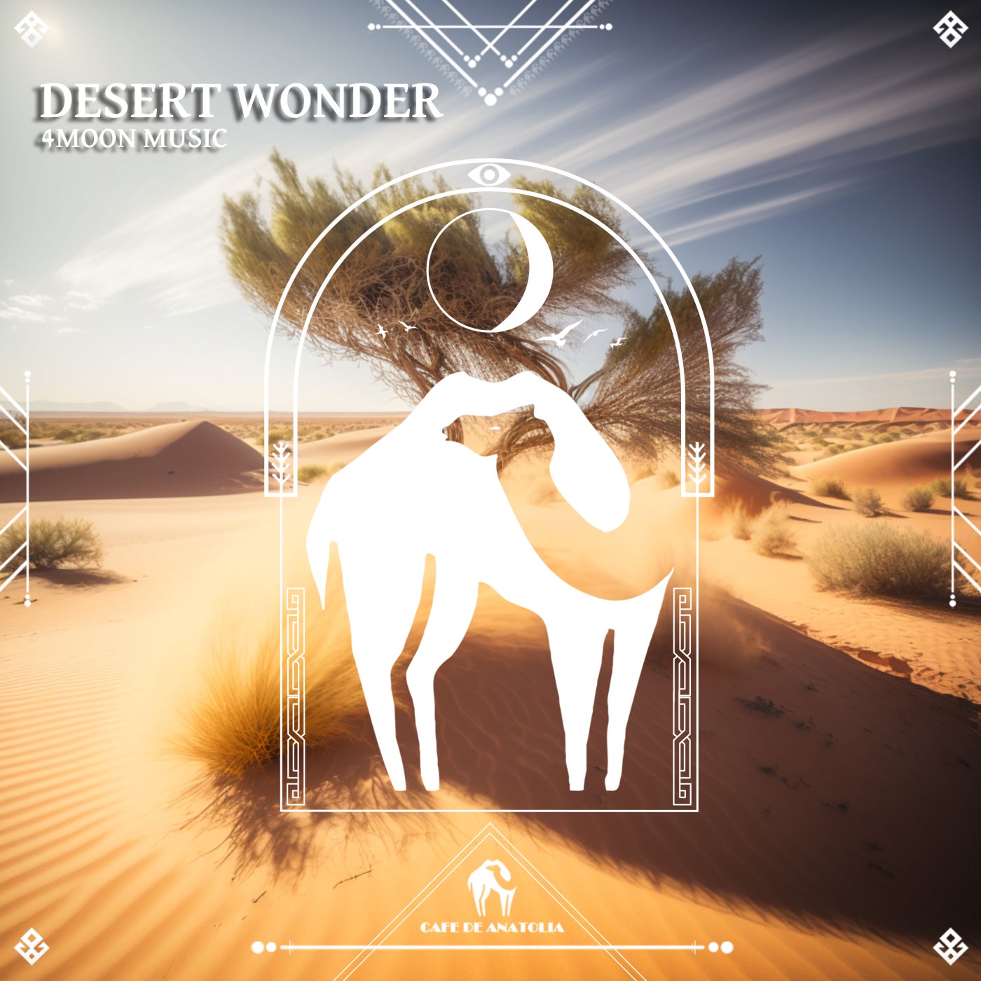 Desert Wonder