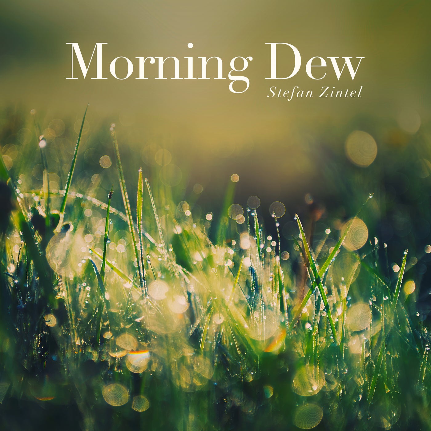 Morning Dew