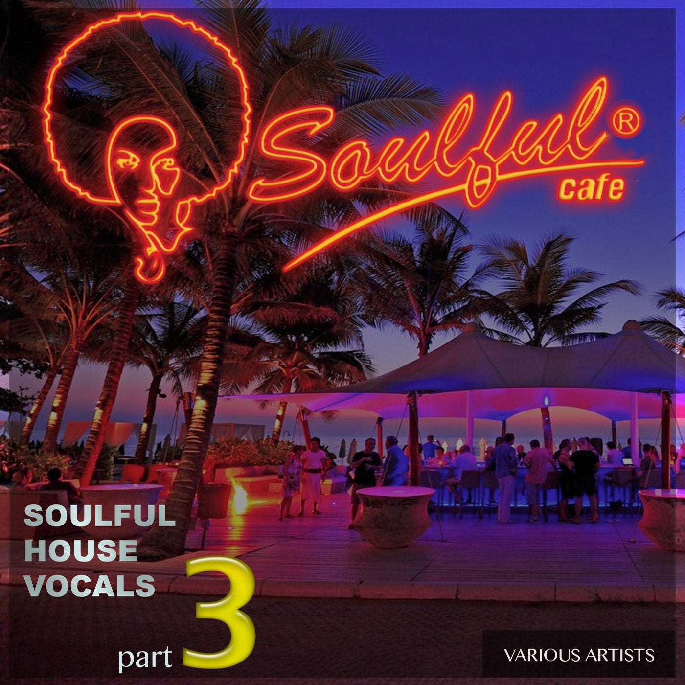 Soulful House Vocals, Pt. 3
