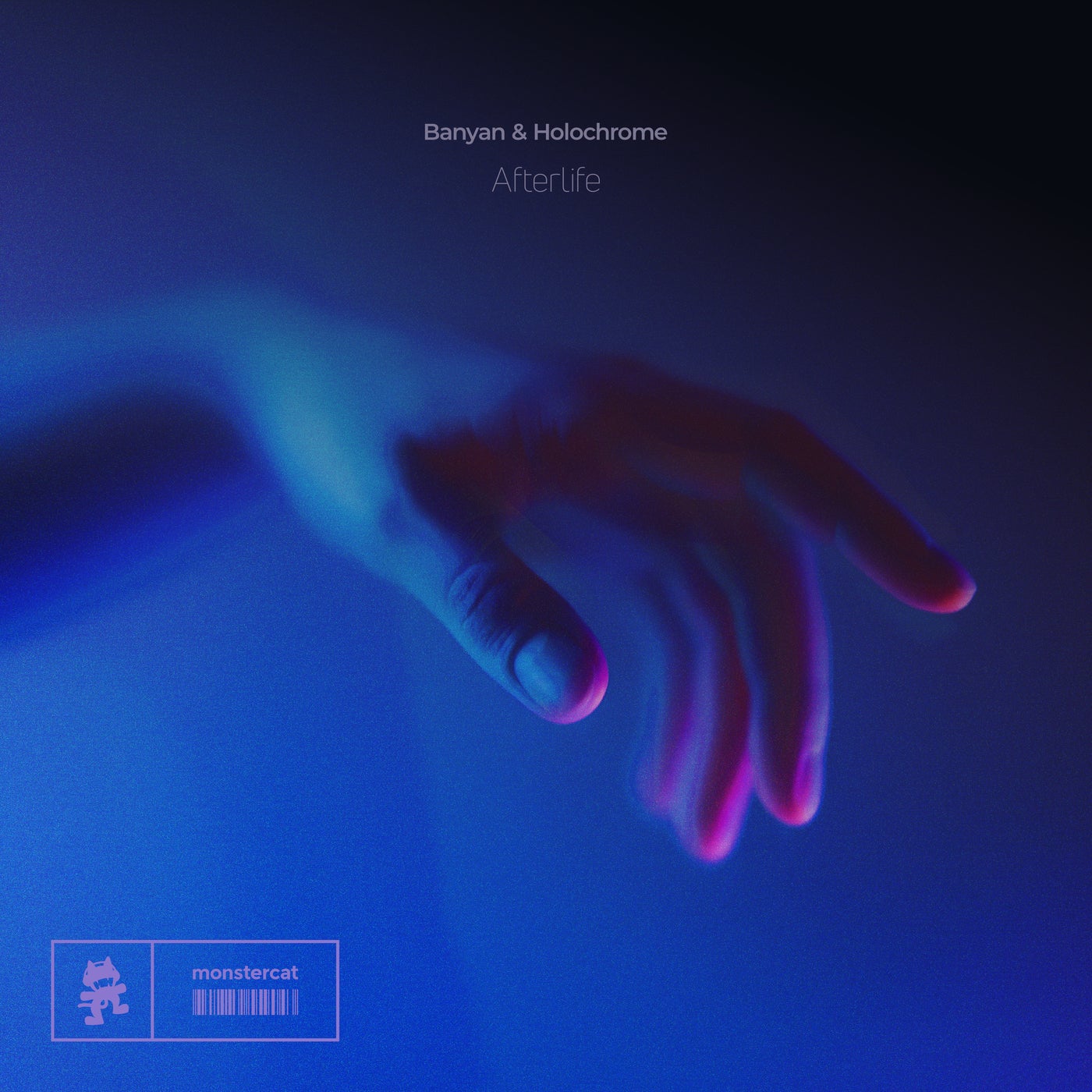 Cover art for Afterlife