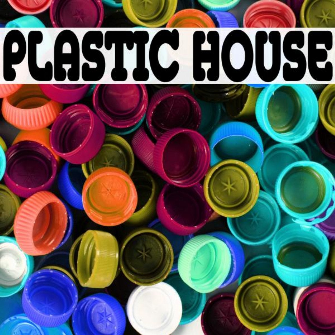 Plastic House