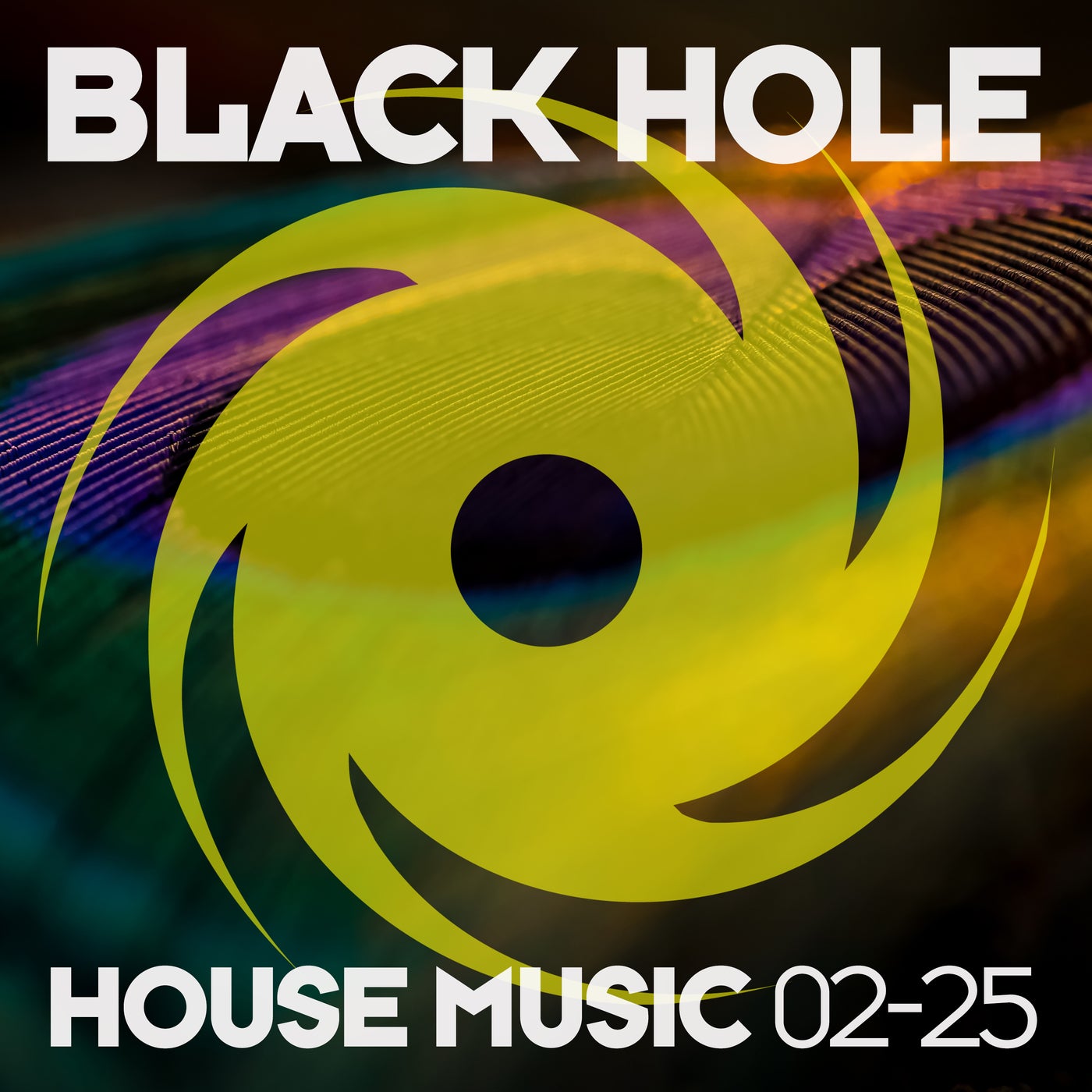 Cover art for Black Hole House Music 02-25