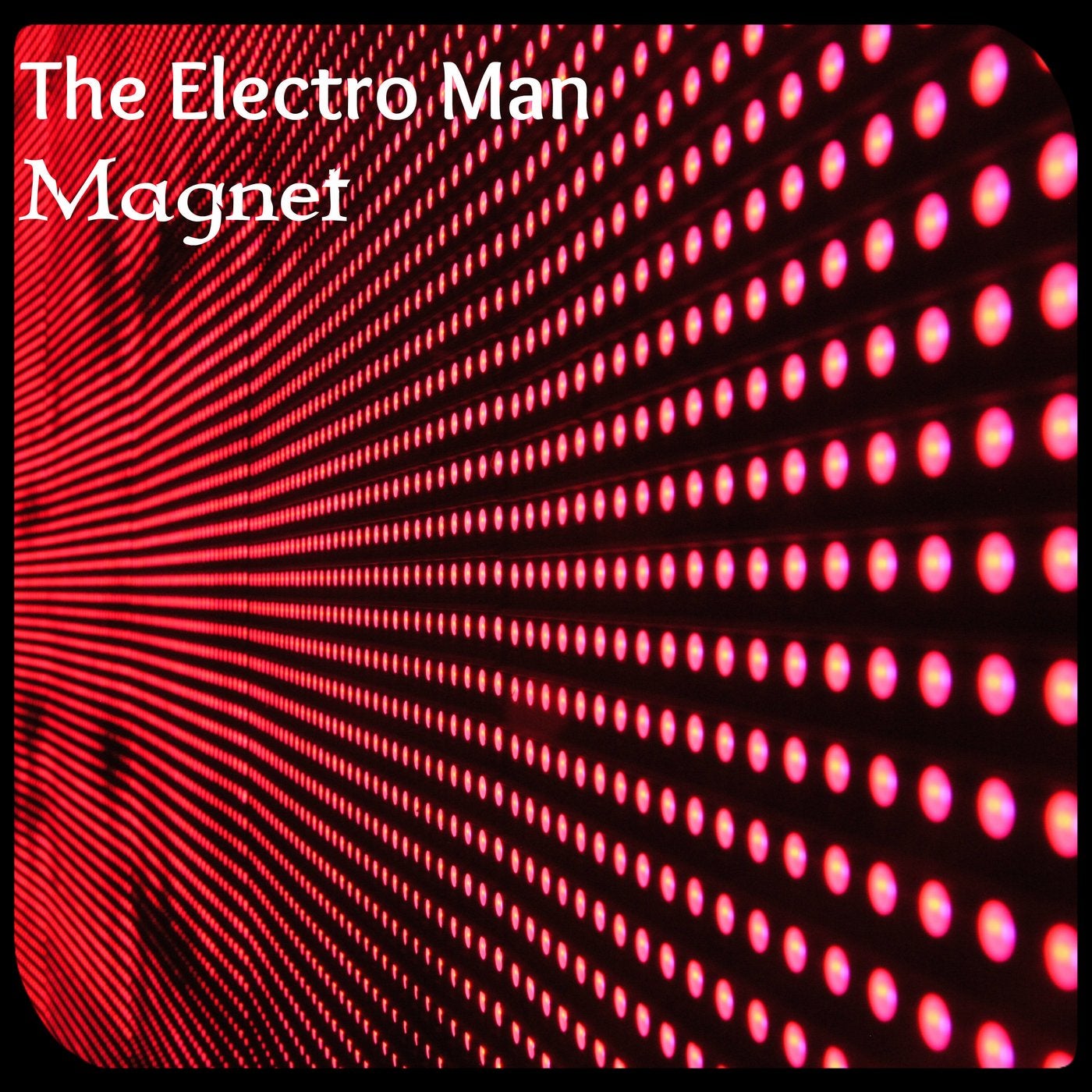 Magnet