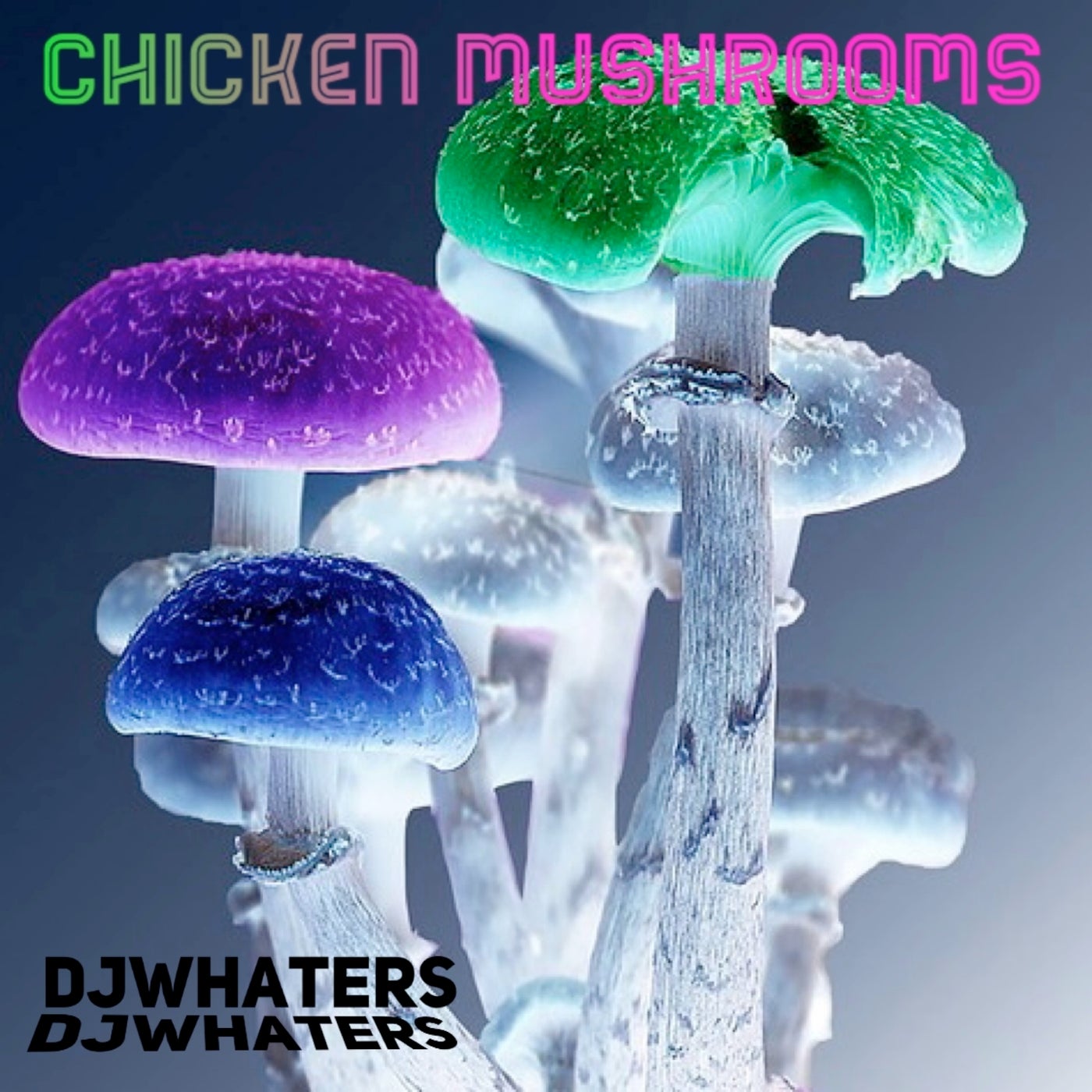 Chicken Mushrooms