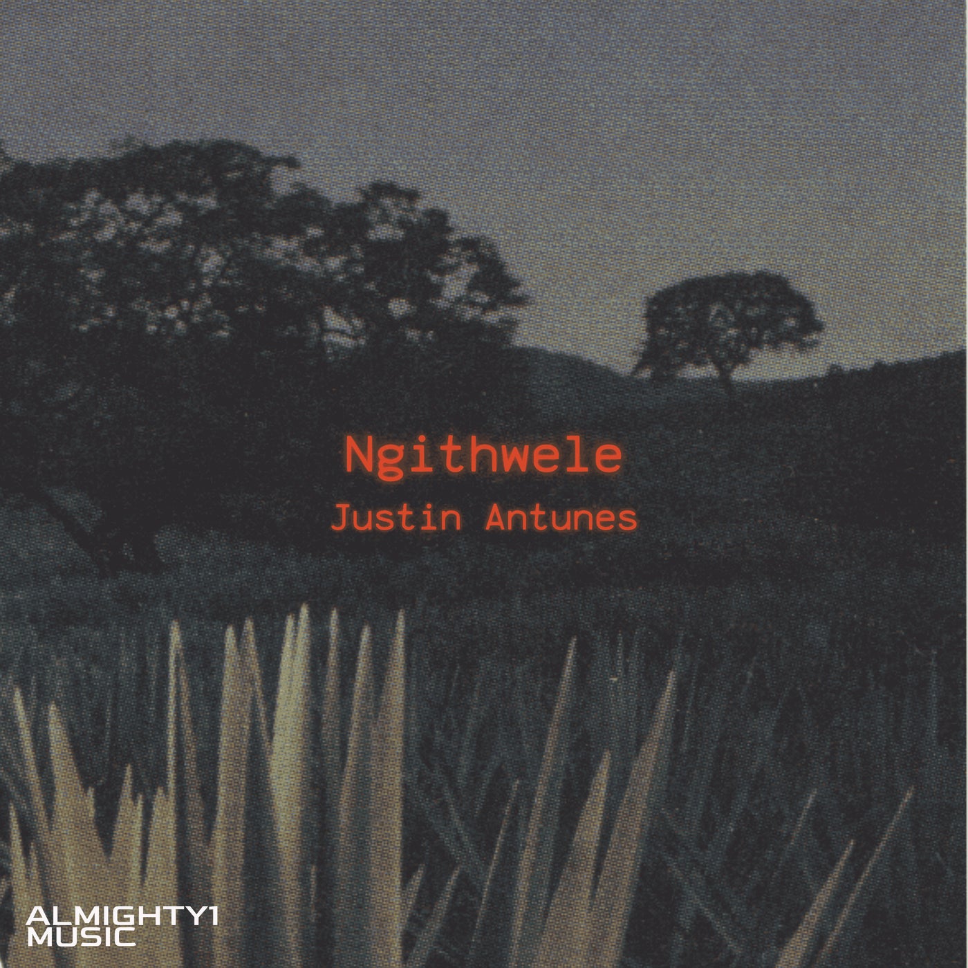 Ngithwele