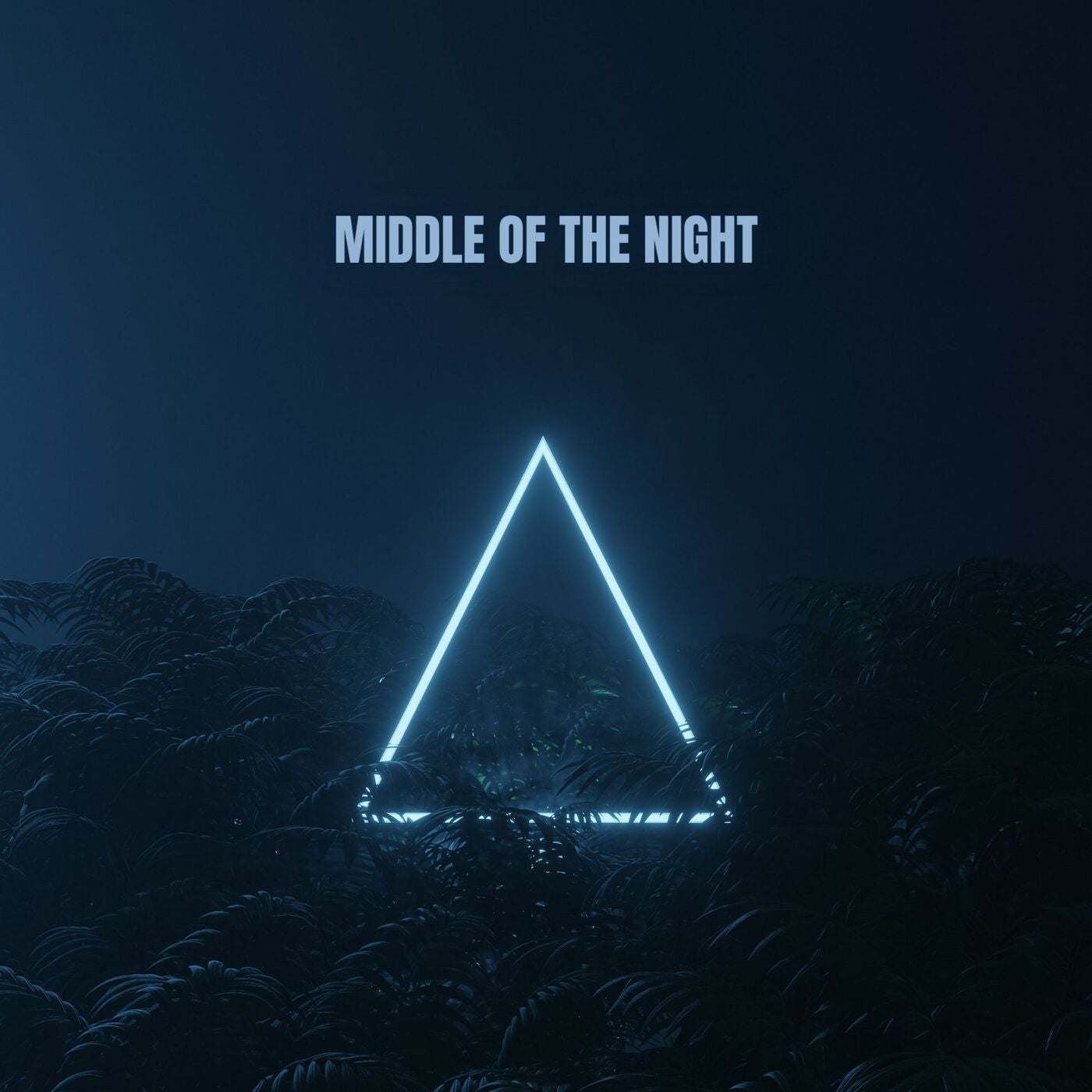 Middle Of The Night