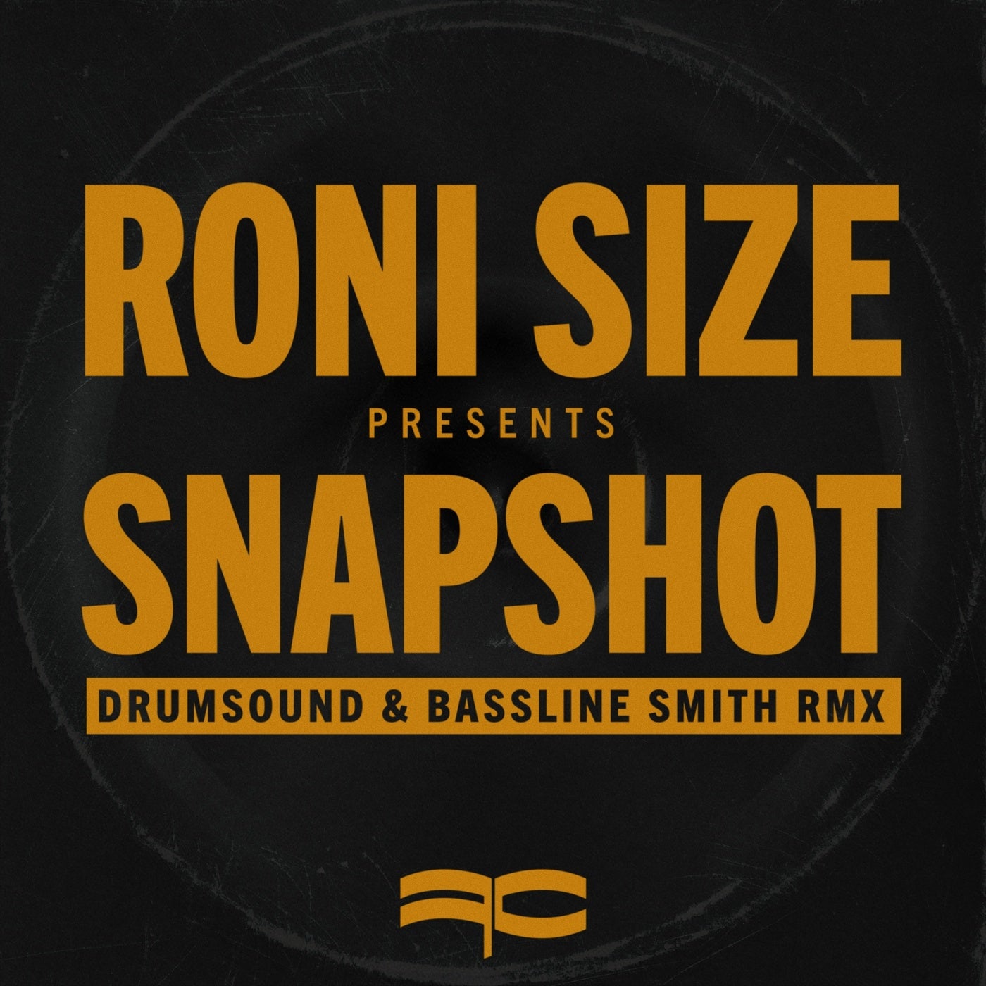 Snapshot (Drumsound & Bassline Smith Remix)