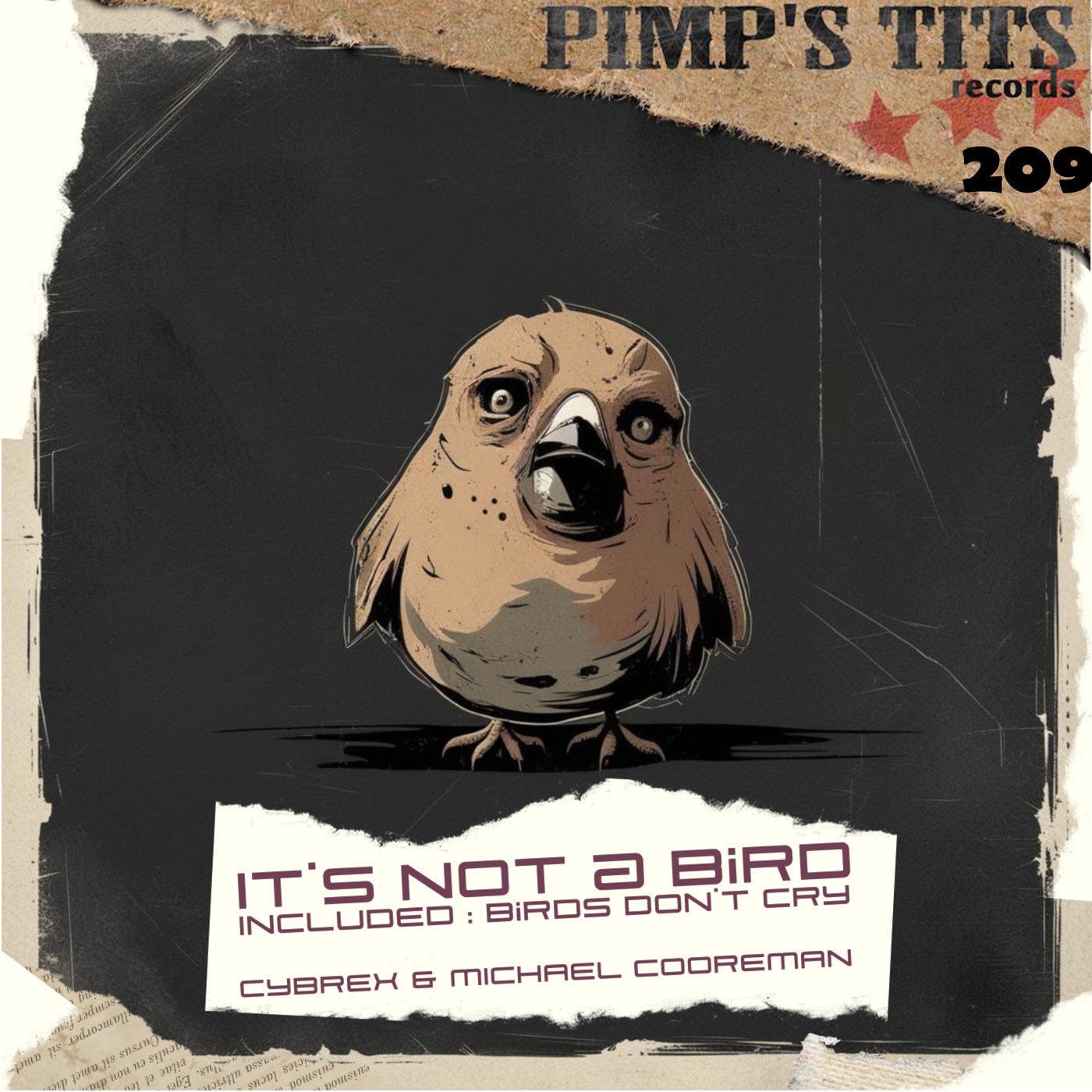 It's Not a Bird