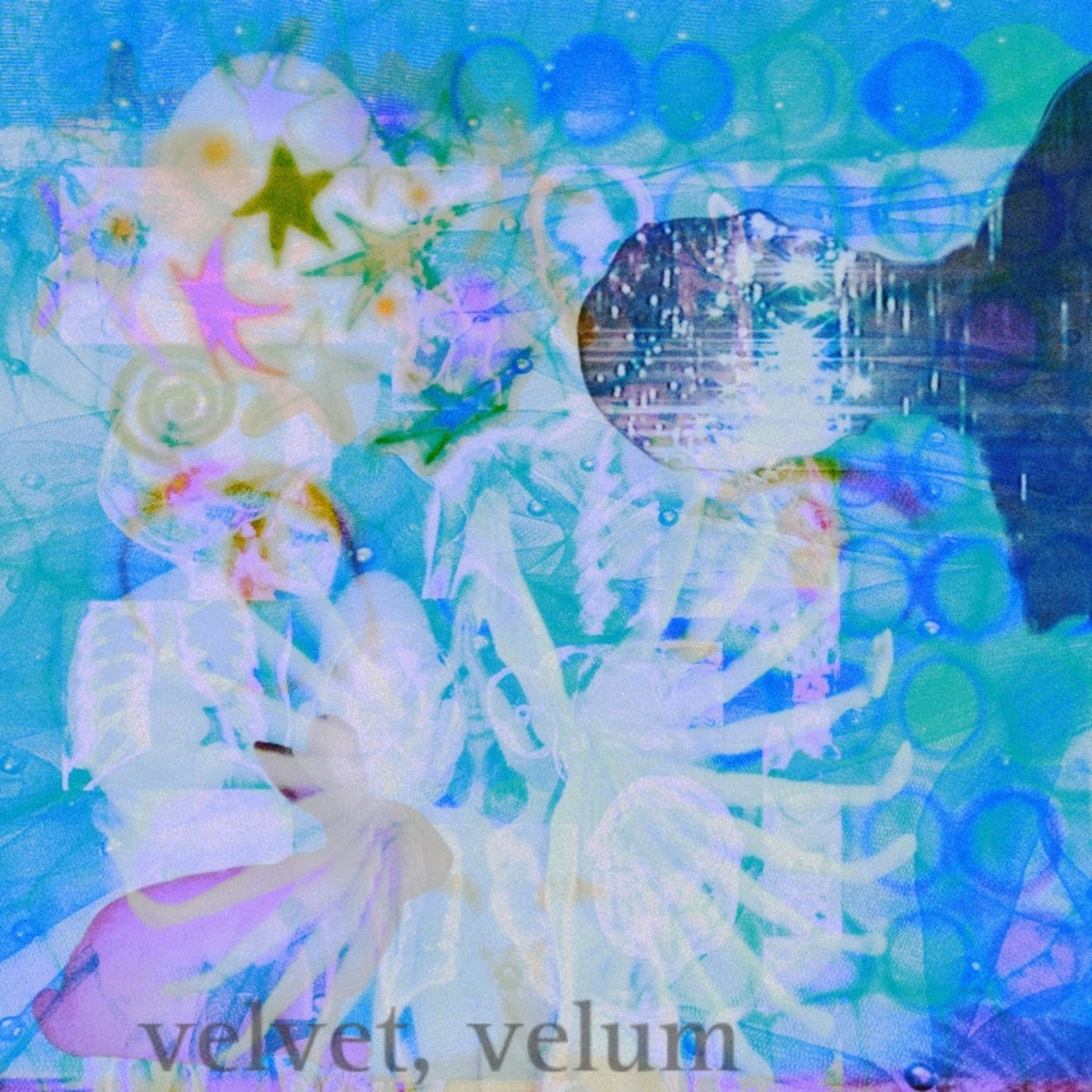 Velvet, Velum